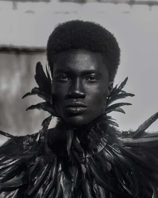 Feathers