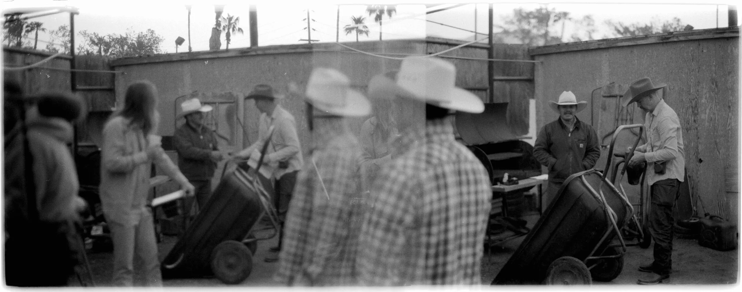 Palomino Double Exposure
