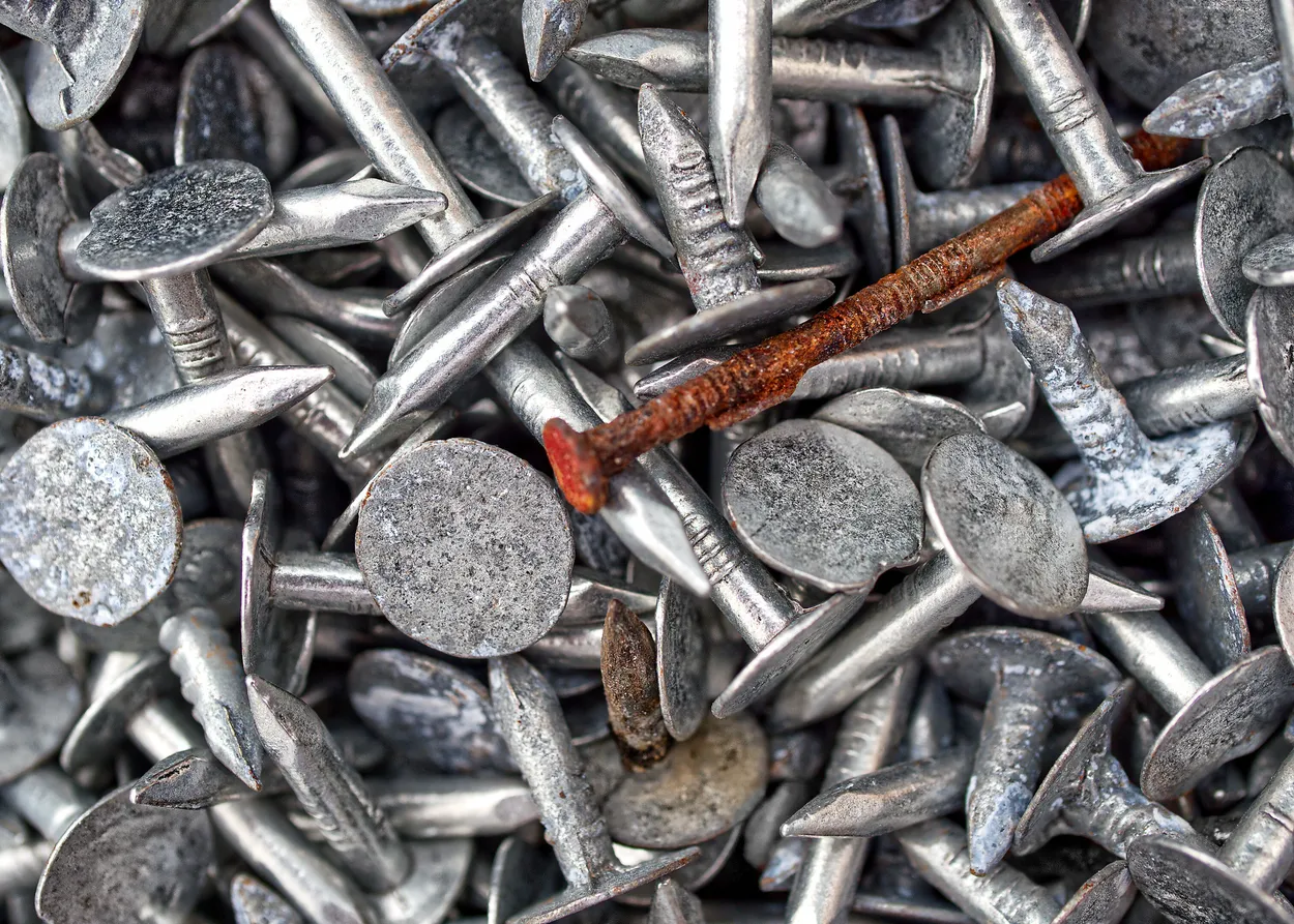 Entry 19306211