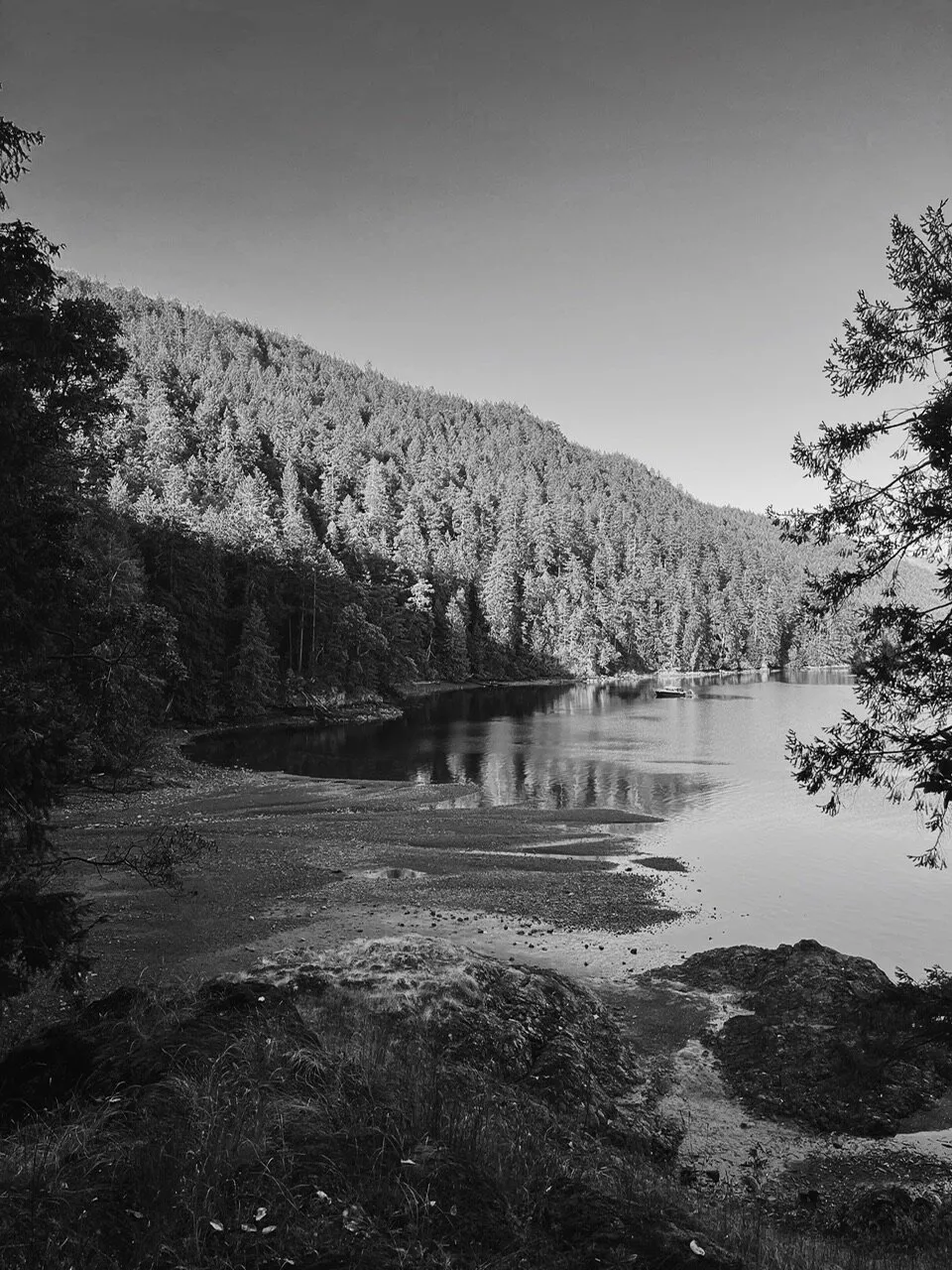 Mornings in a Quiet Inlet