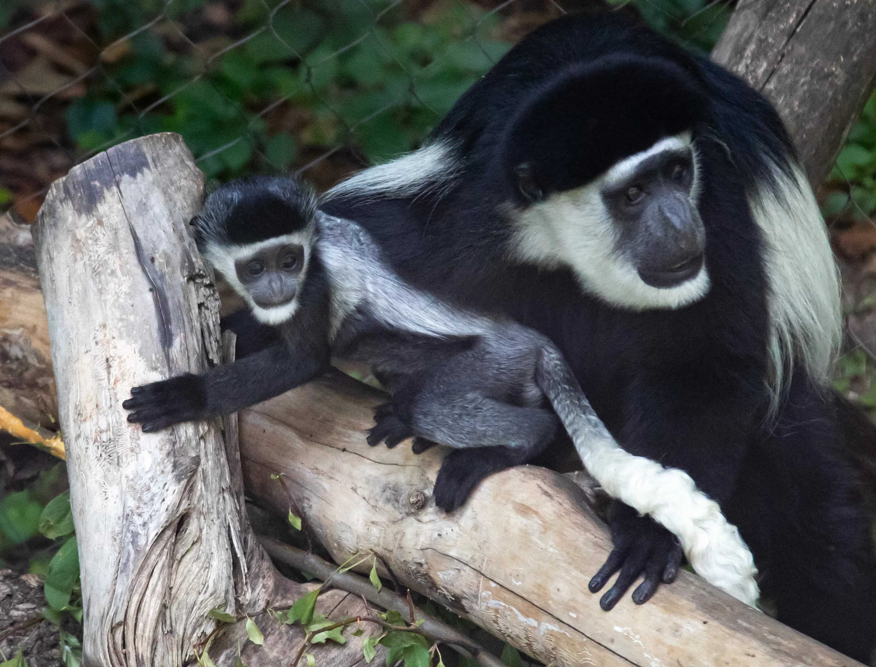 Safety near mom