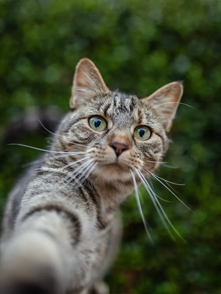 Selfie time!