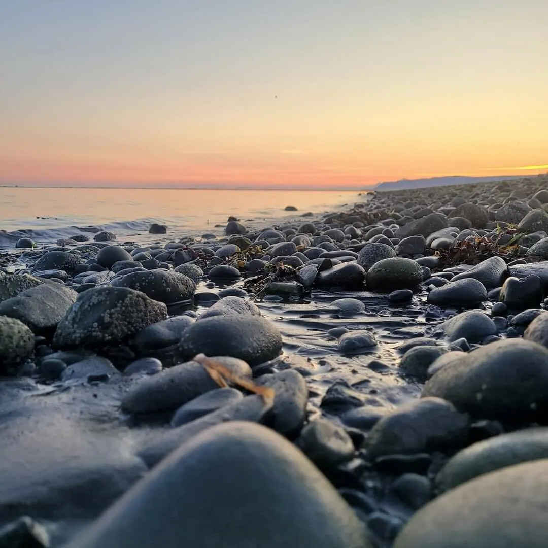 Homer Sunset
