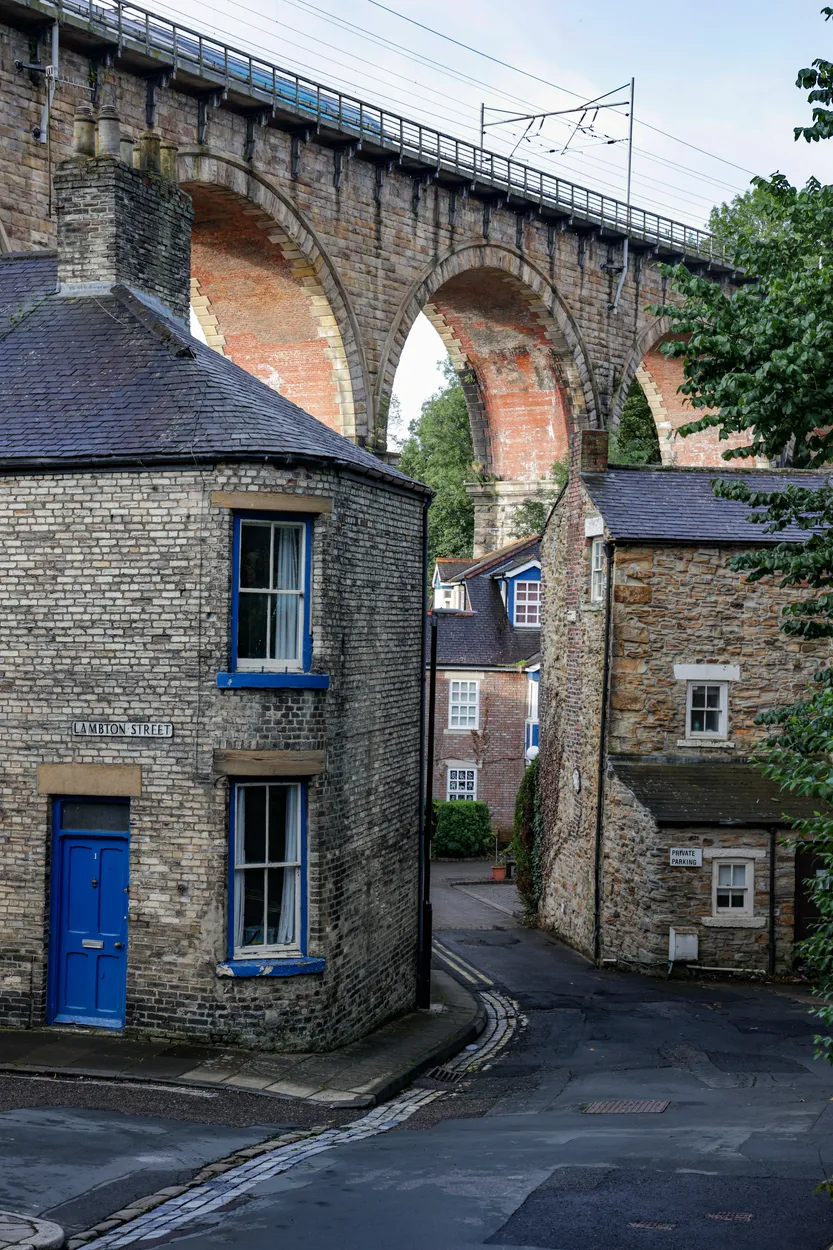Entry 17623368