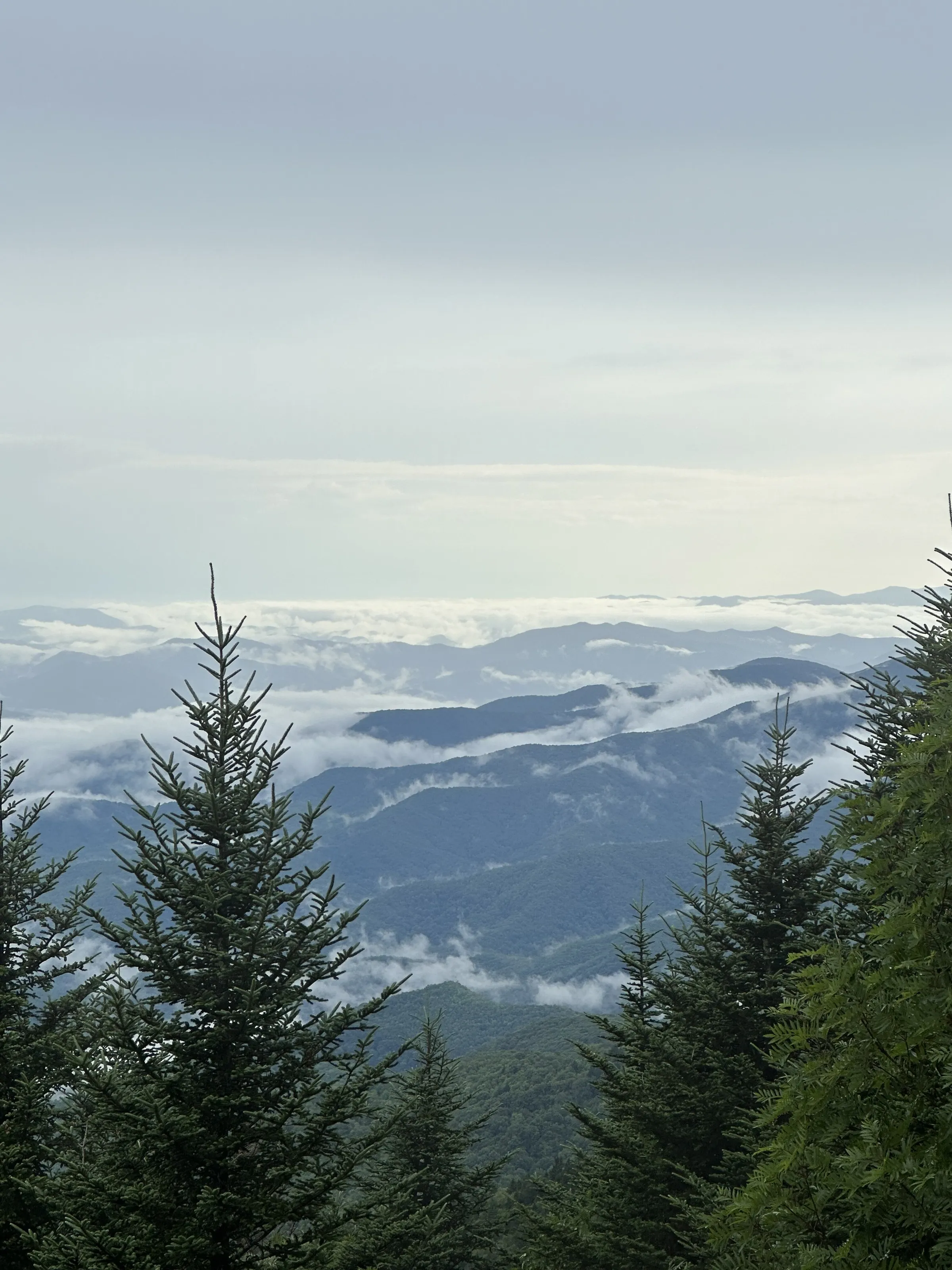 Great Smokey Mountains