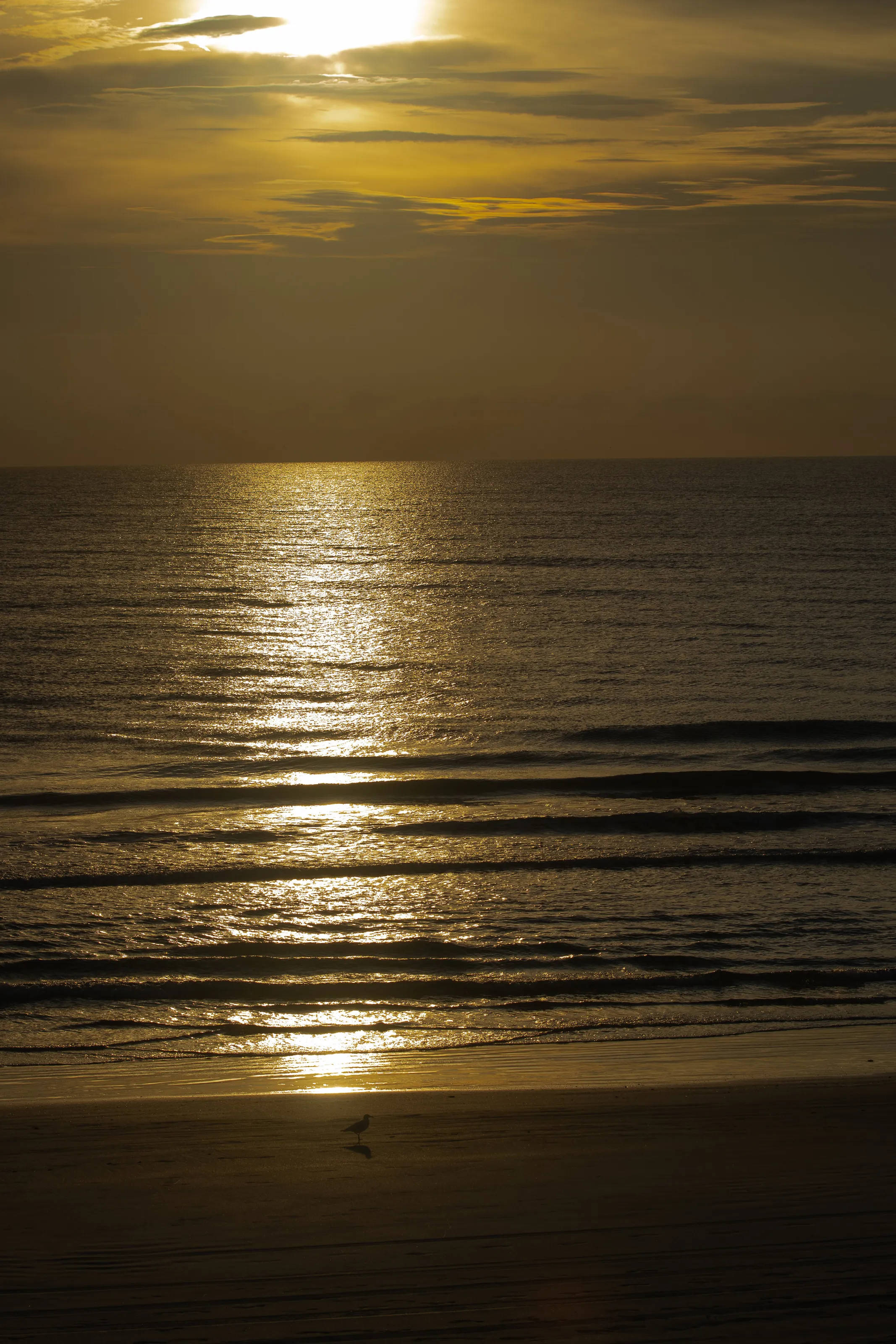Calm seas