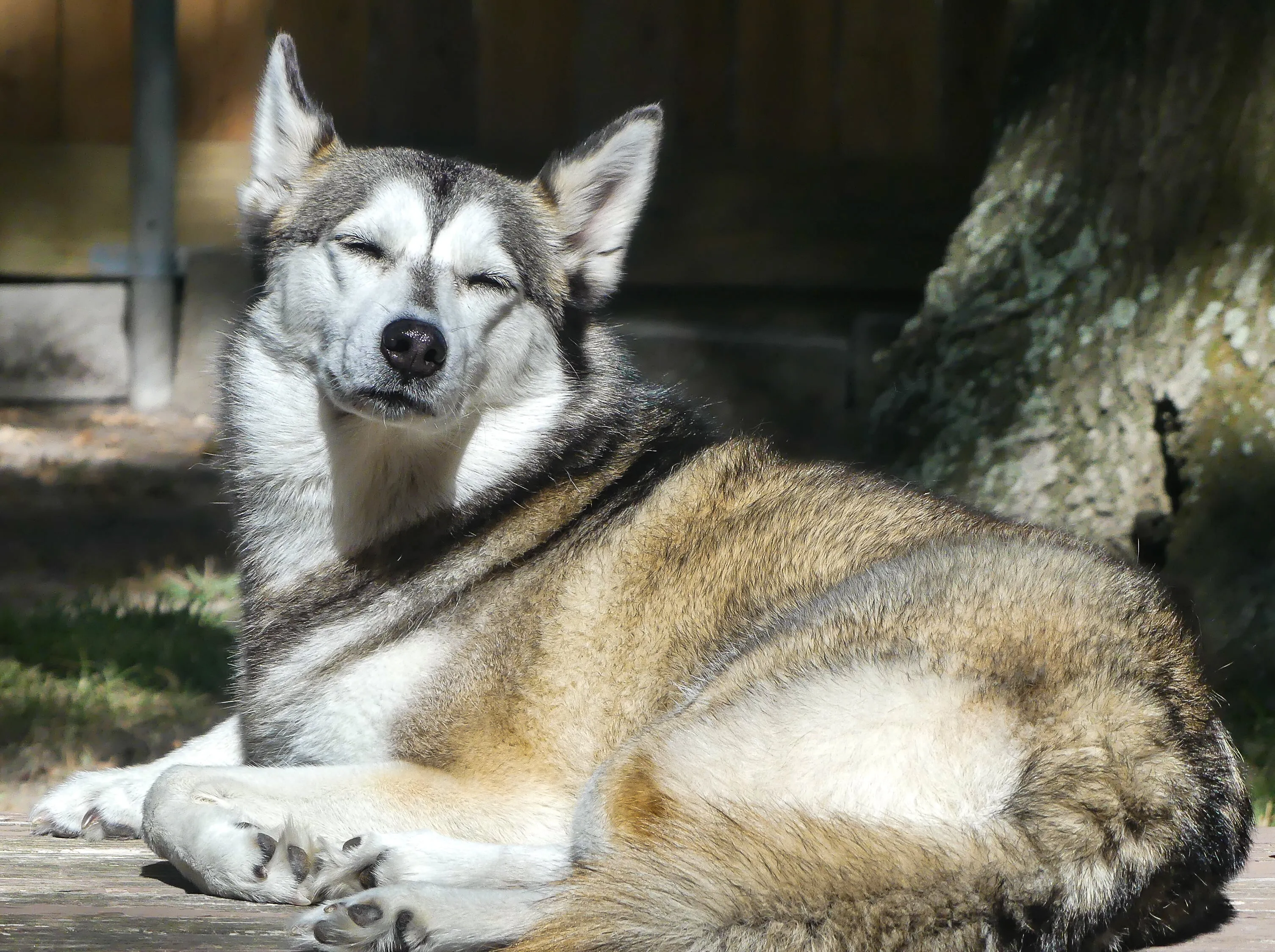 Soaking up the Sunshine
