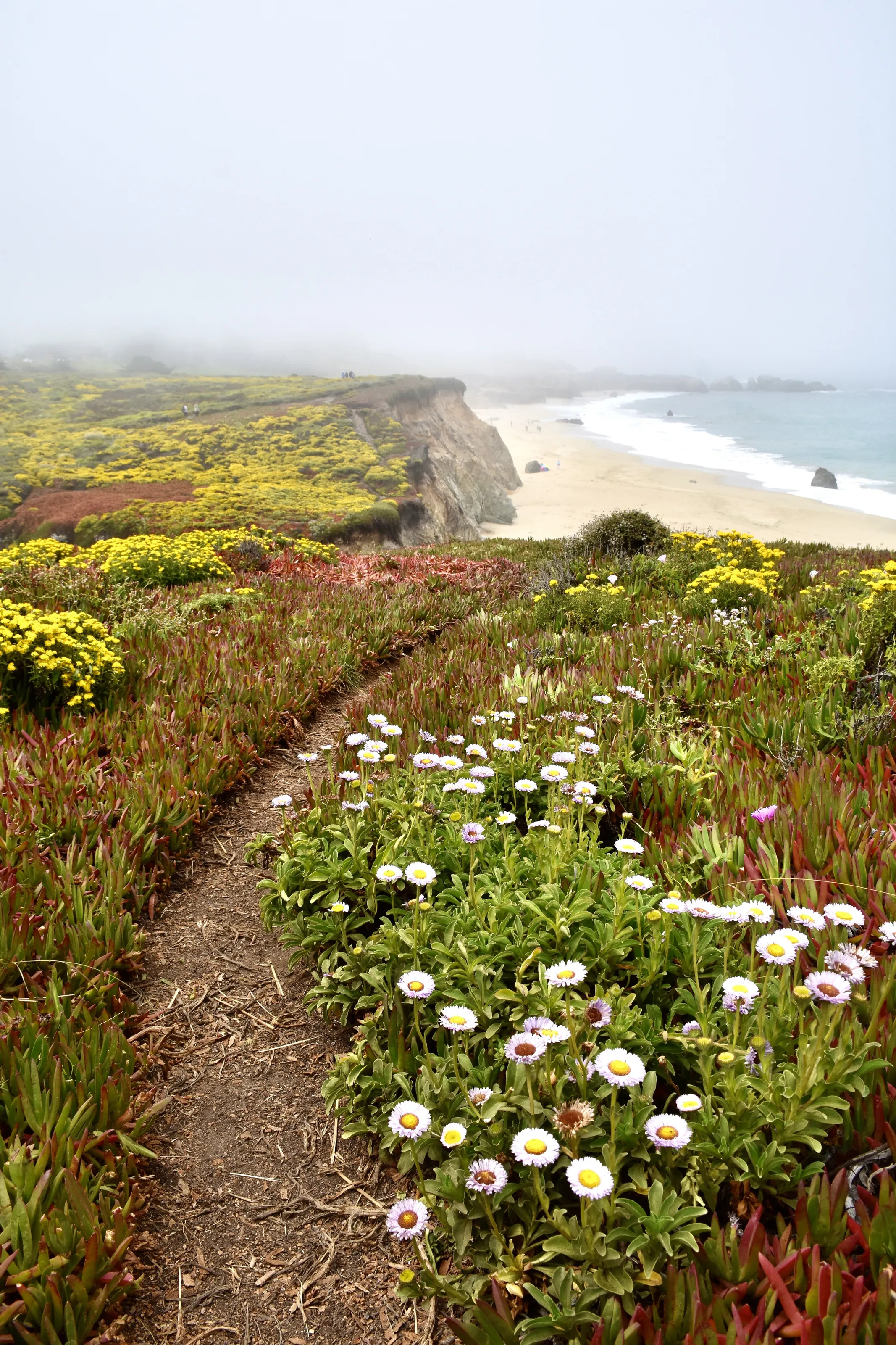 Golden Coast