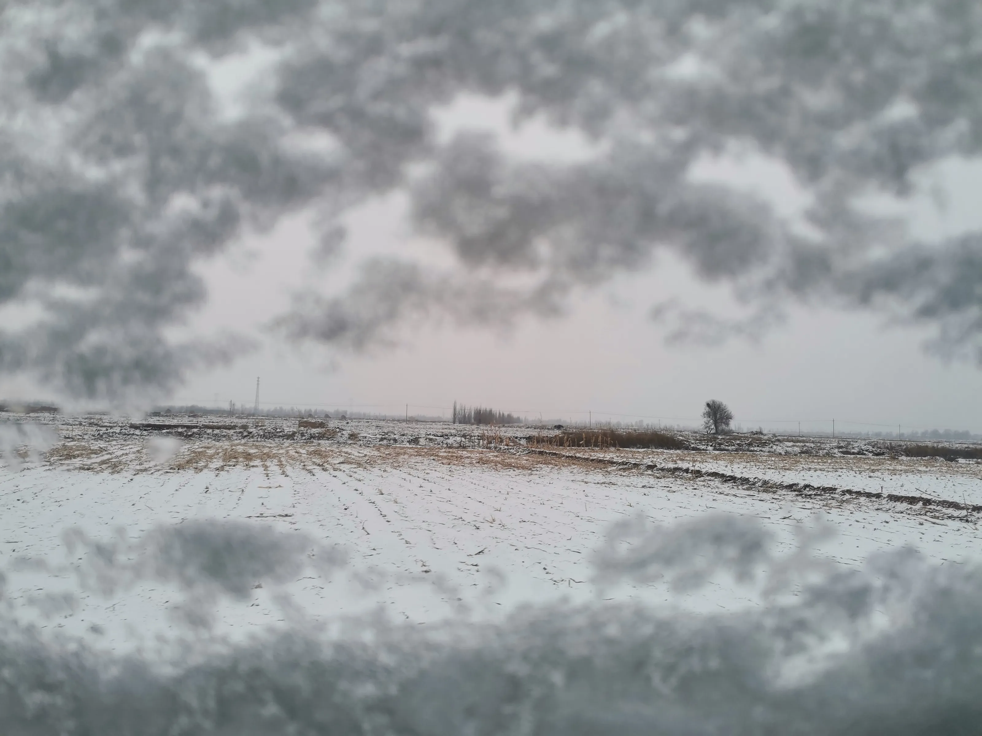 Snowy Hometown