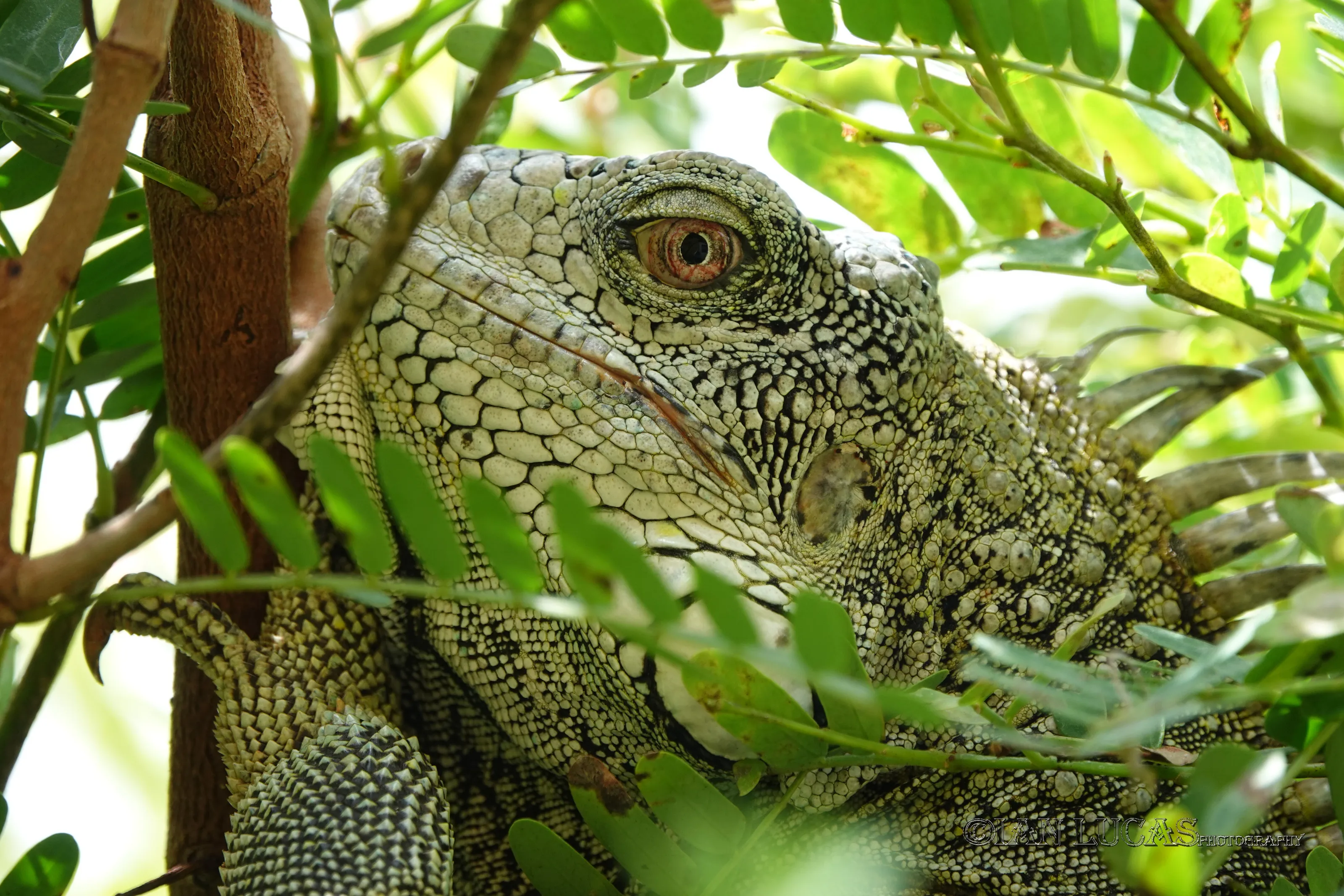 Are you lookin' at me?