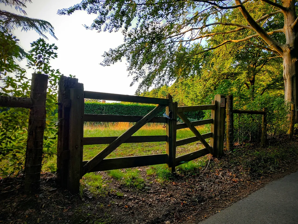 Entry 20829184