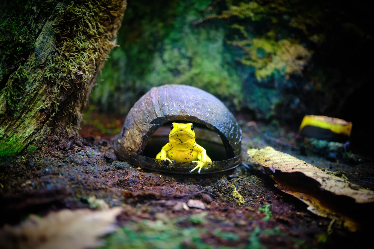 Entry 17671599
