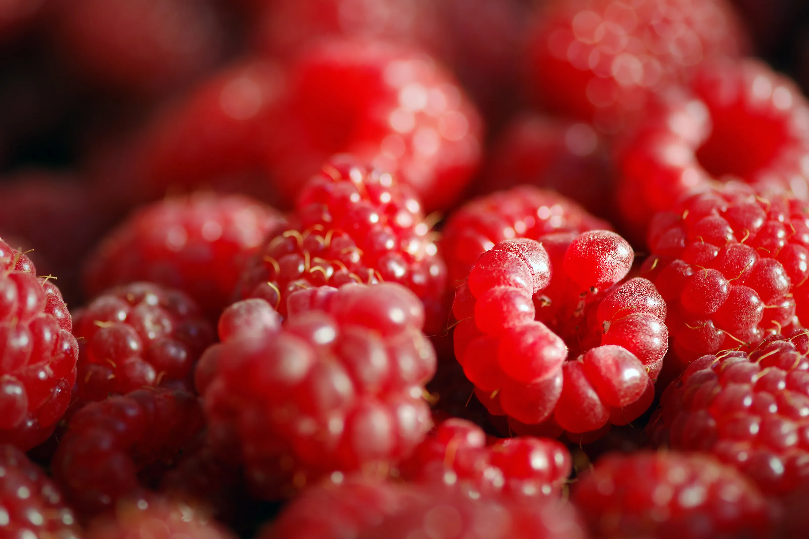 Raspberries