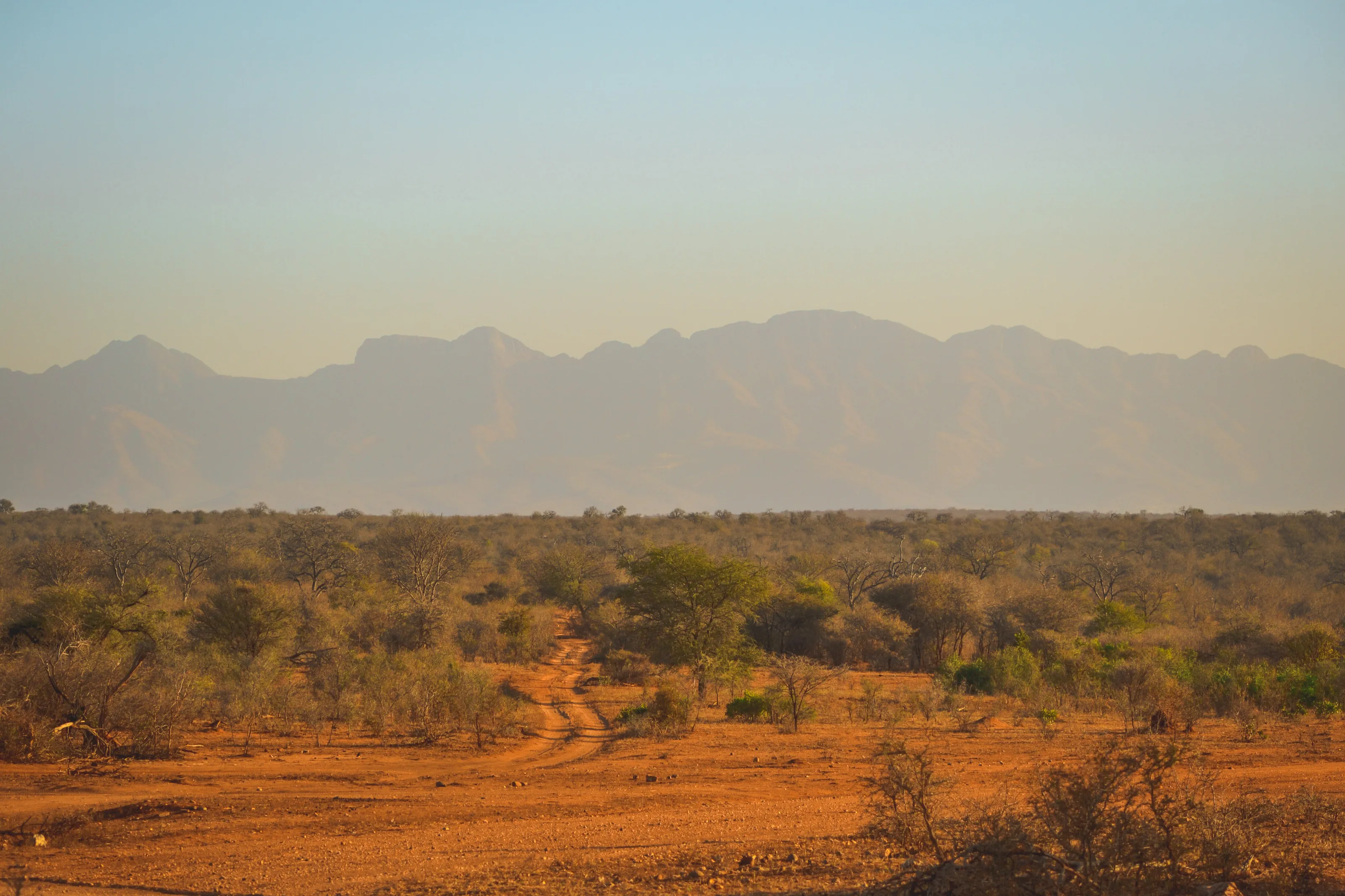 The mountains across the bush