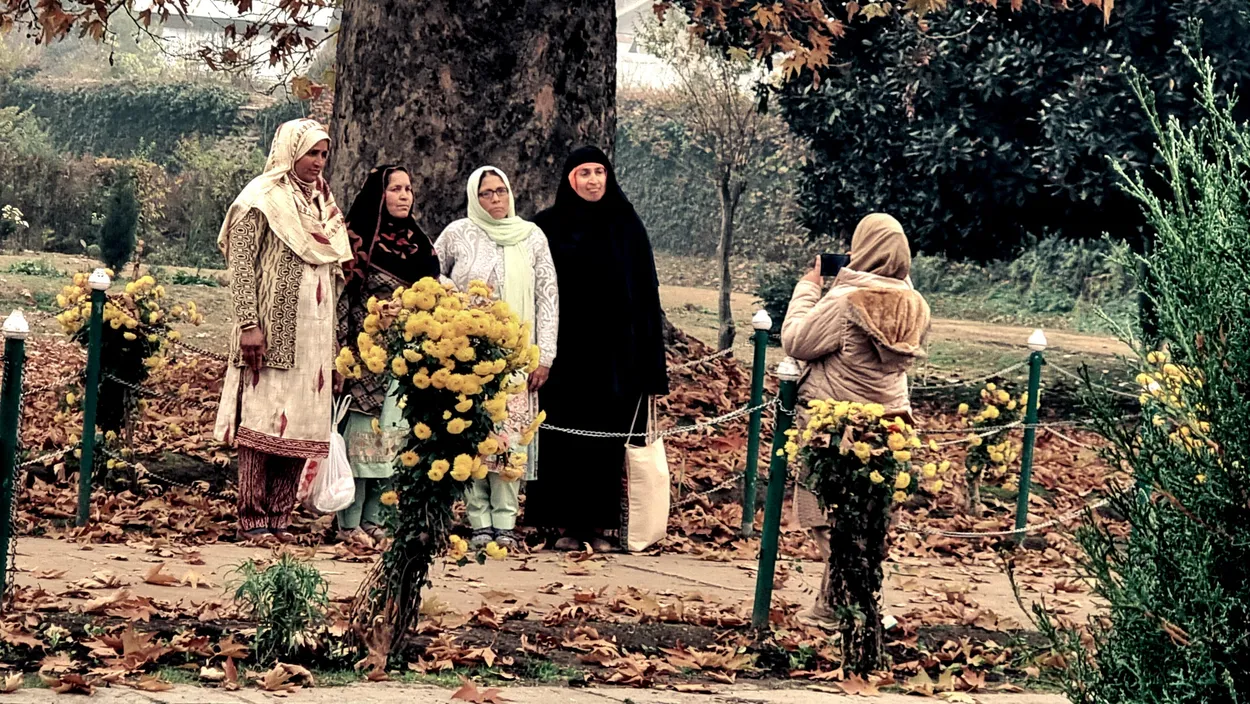 Entry 17682168