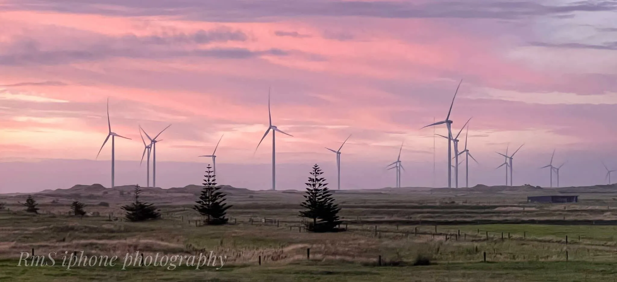 Waipipi Wind Farm