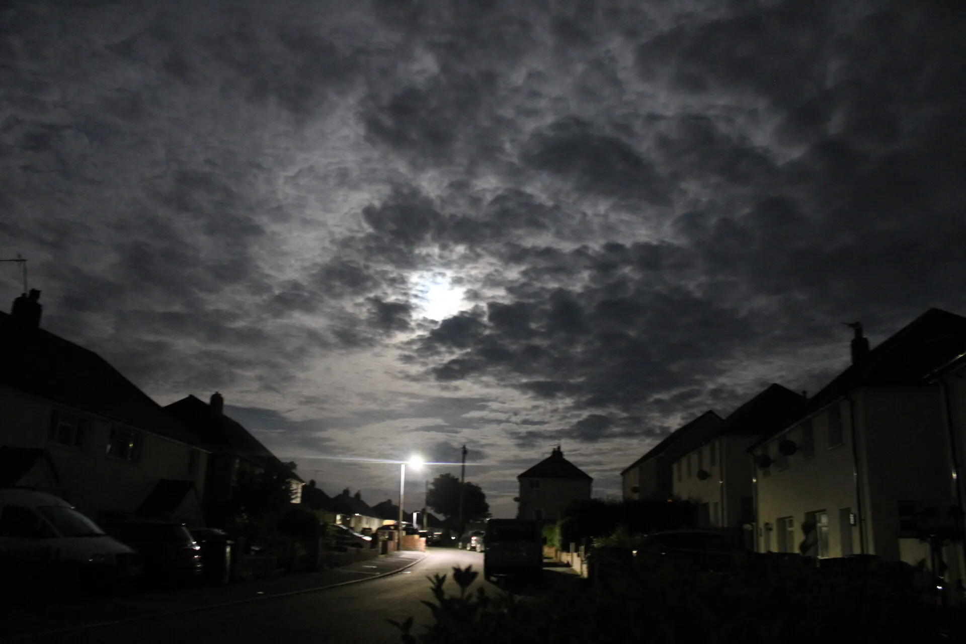 Under the Cobalt Veil: A Blue Supermoon Night