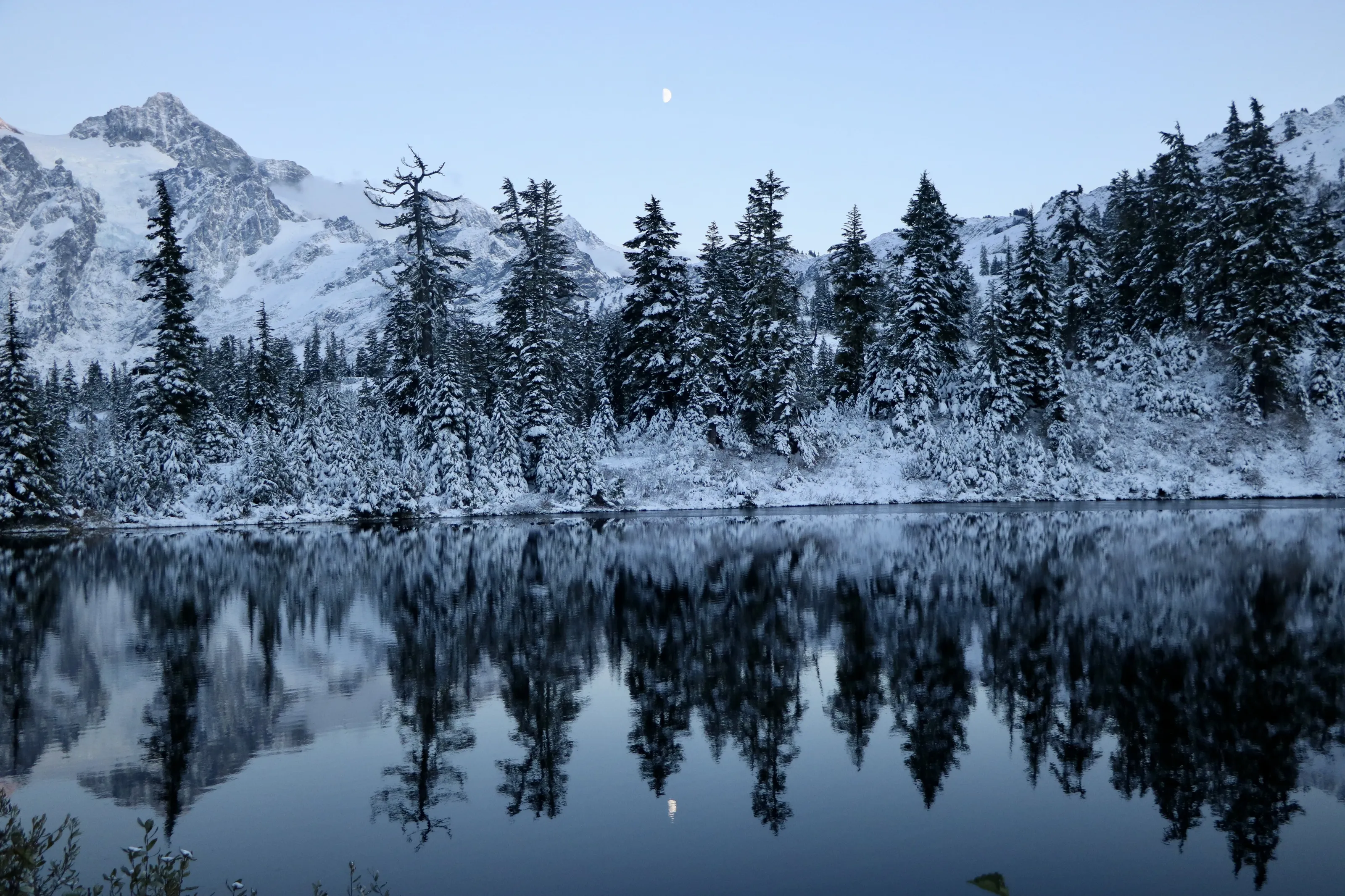 A Winter Wonderland