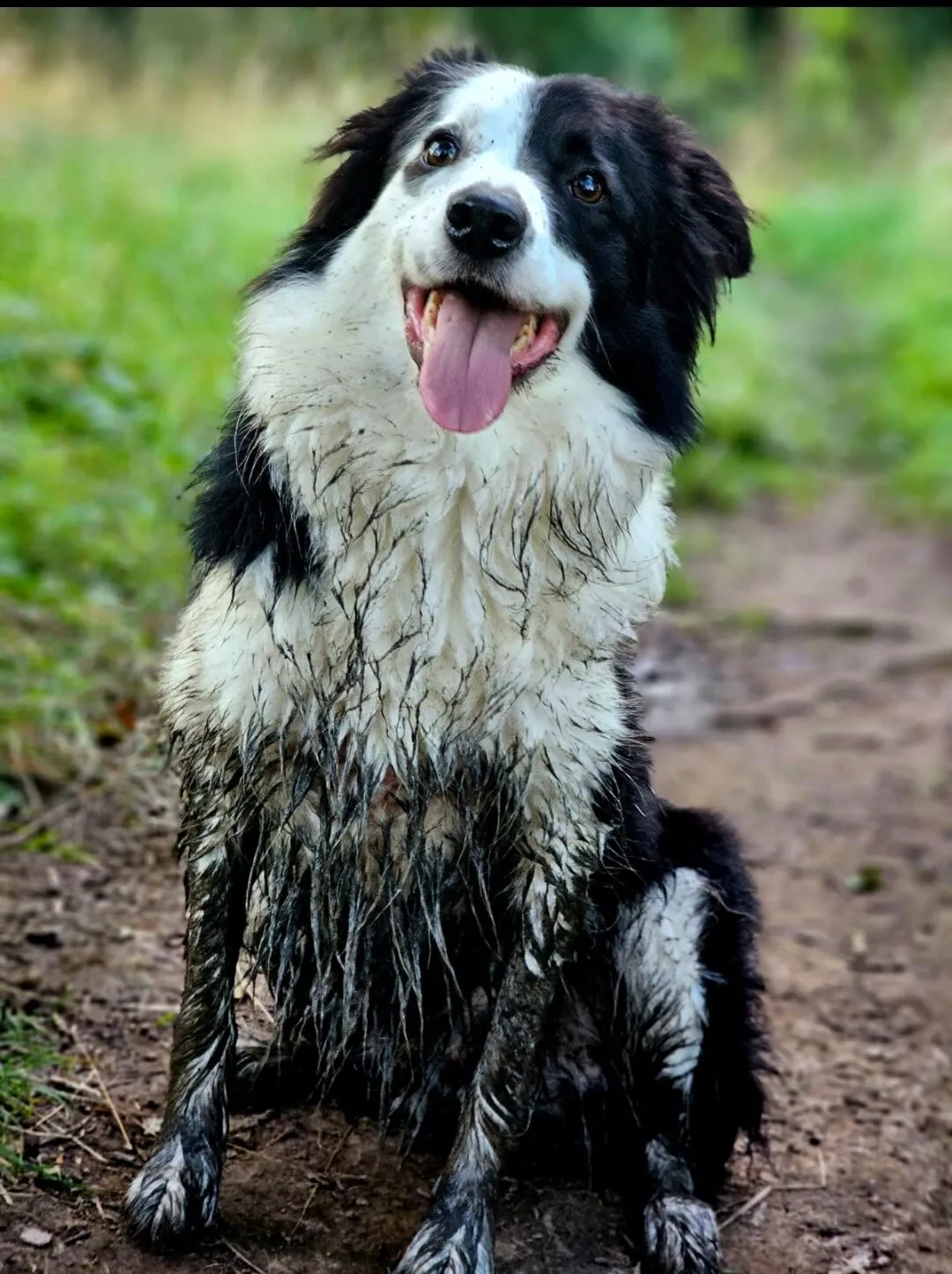 Muddy play