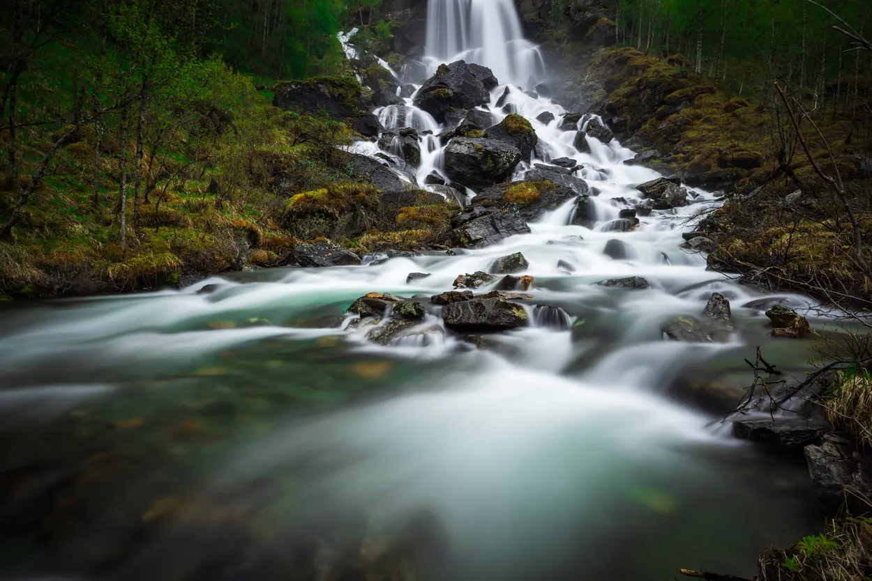 Entry 17832479