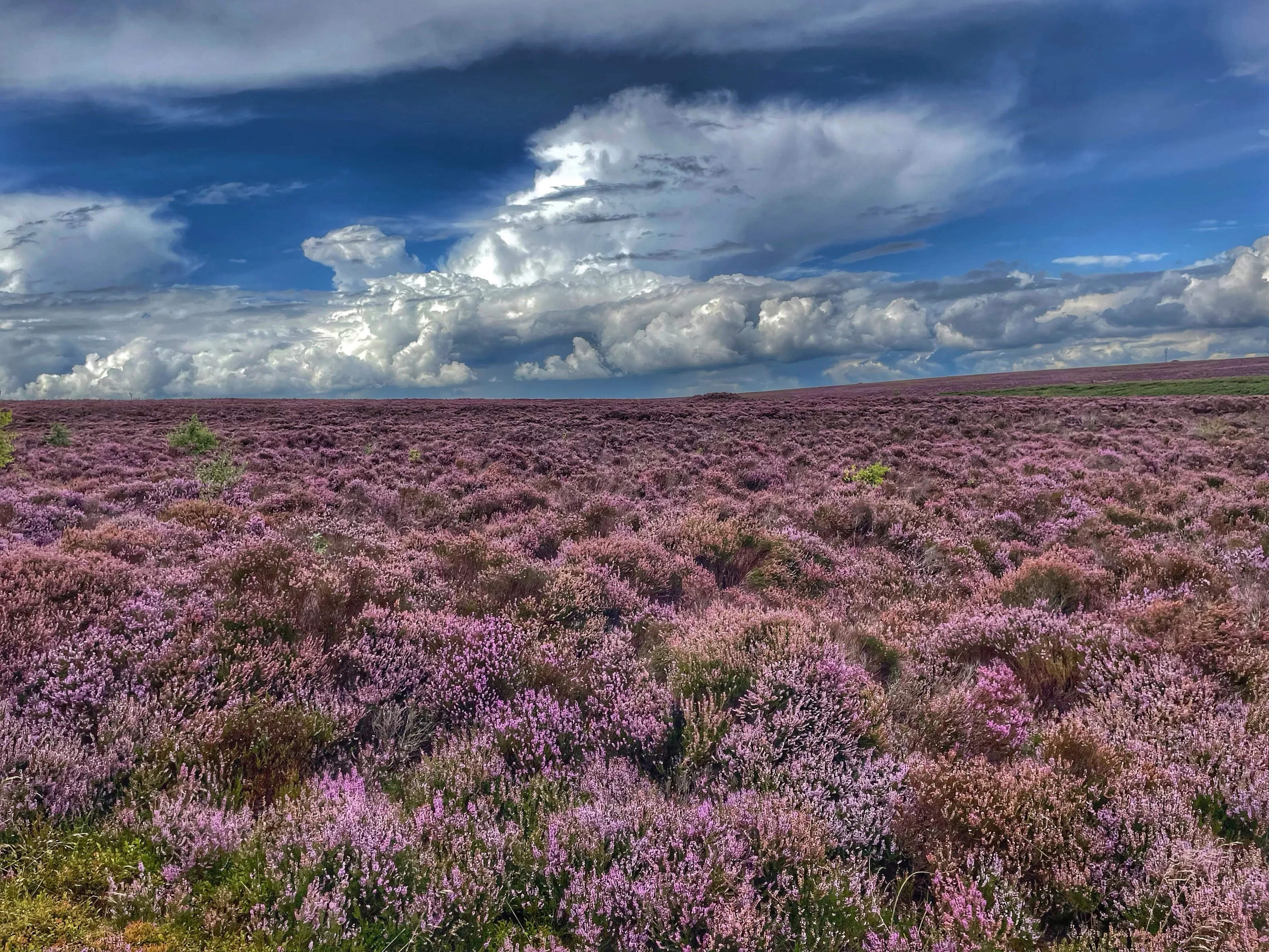 Beeley Moor