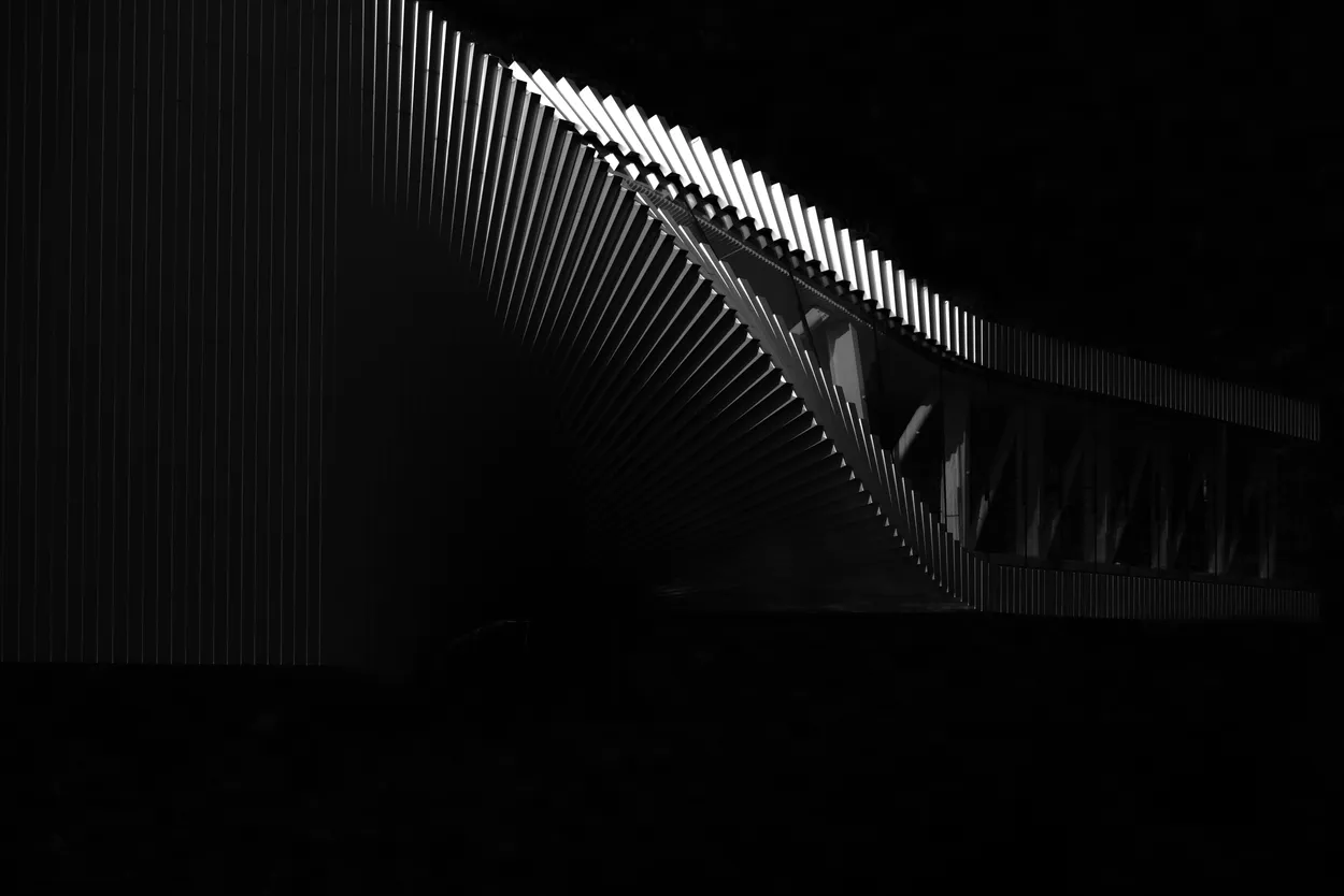 Entry 20851254