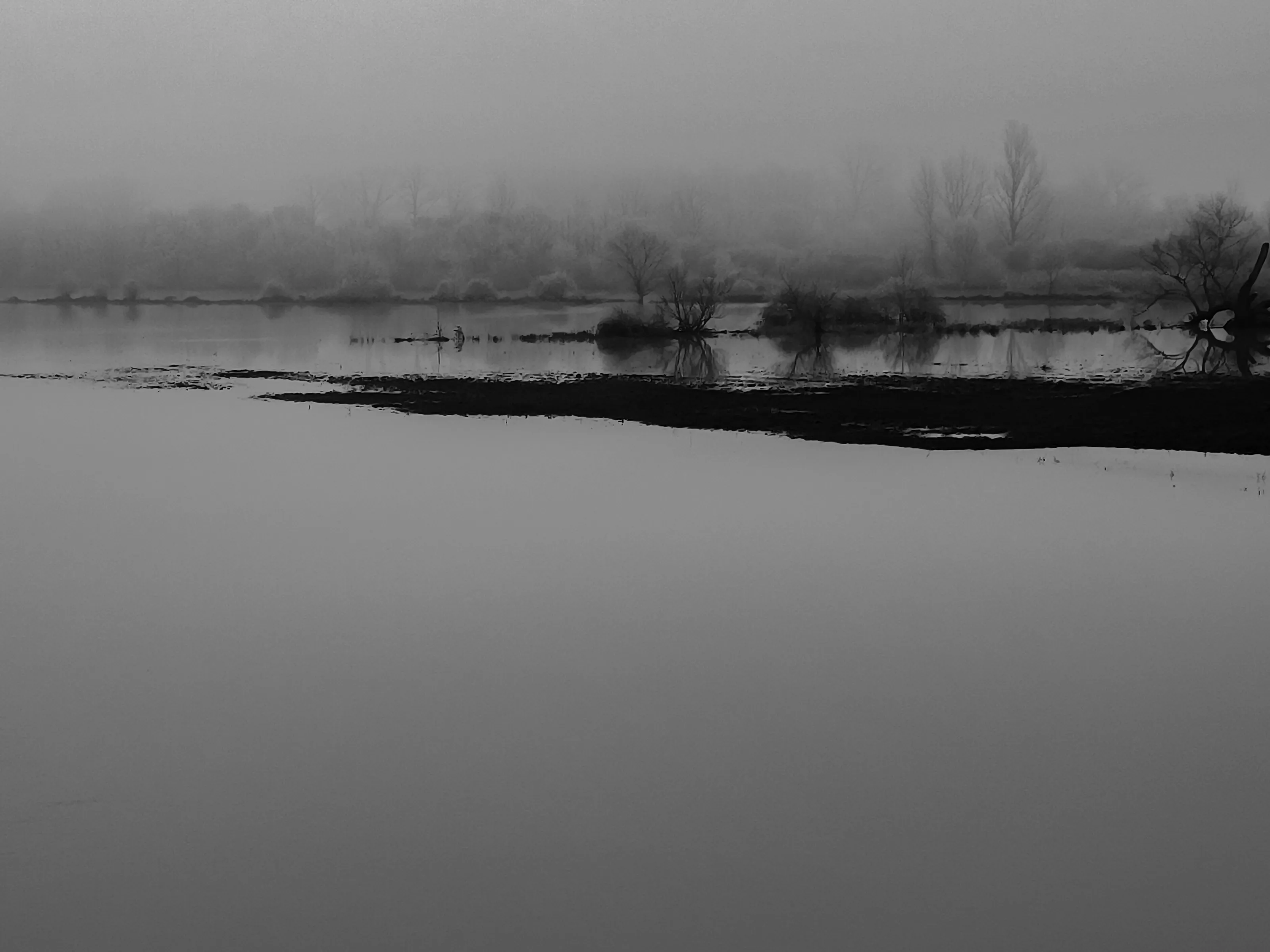 A Timeless Stillness