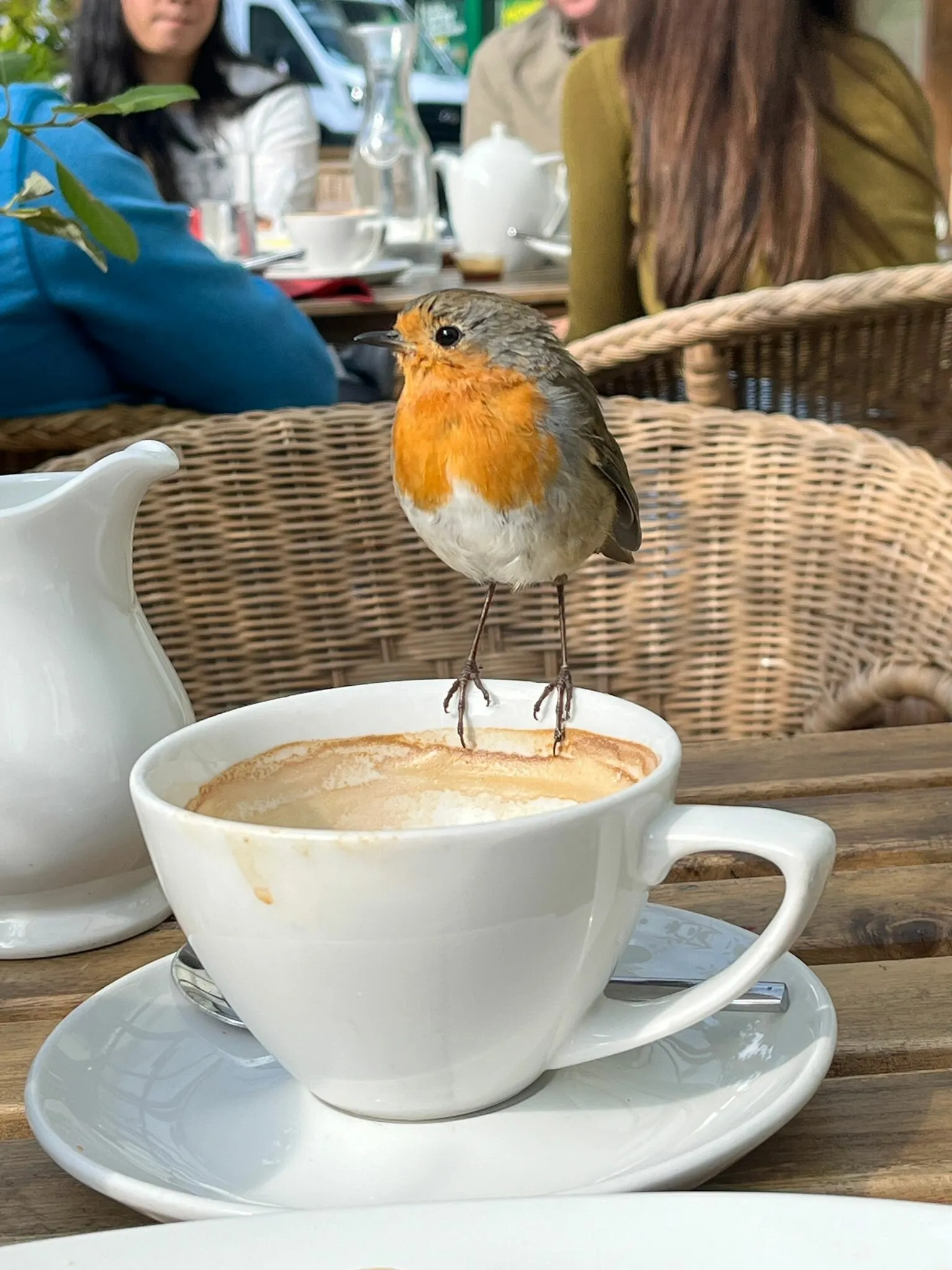 Robin me coffee ☕️