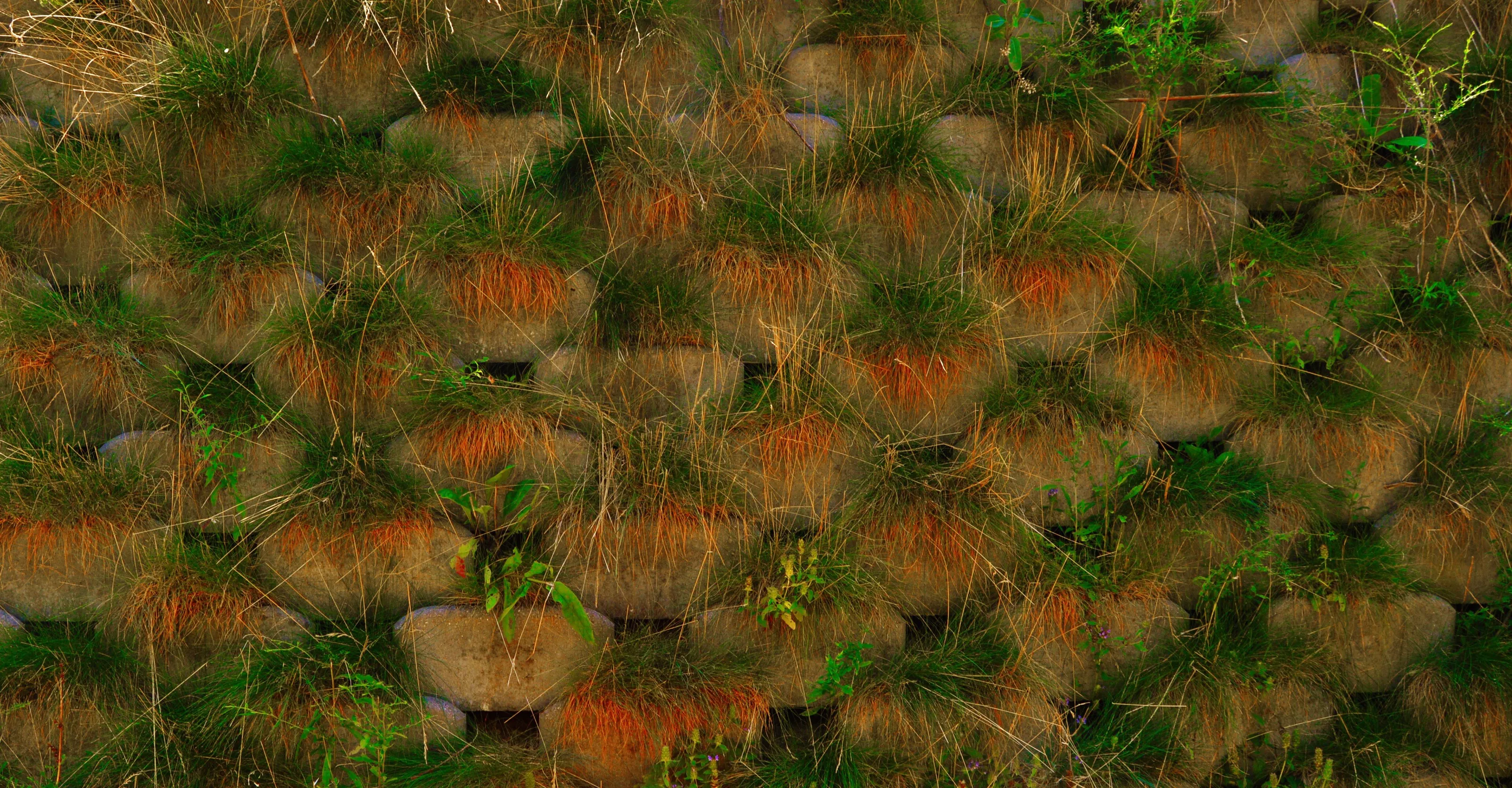 grass wall