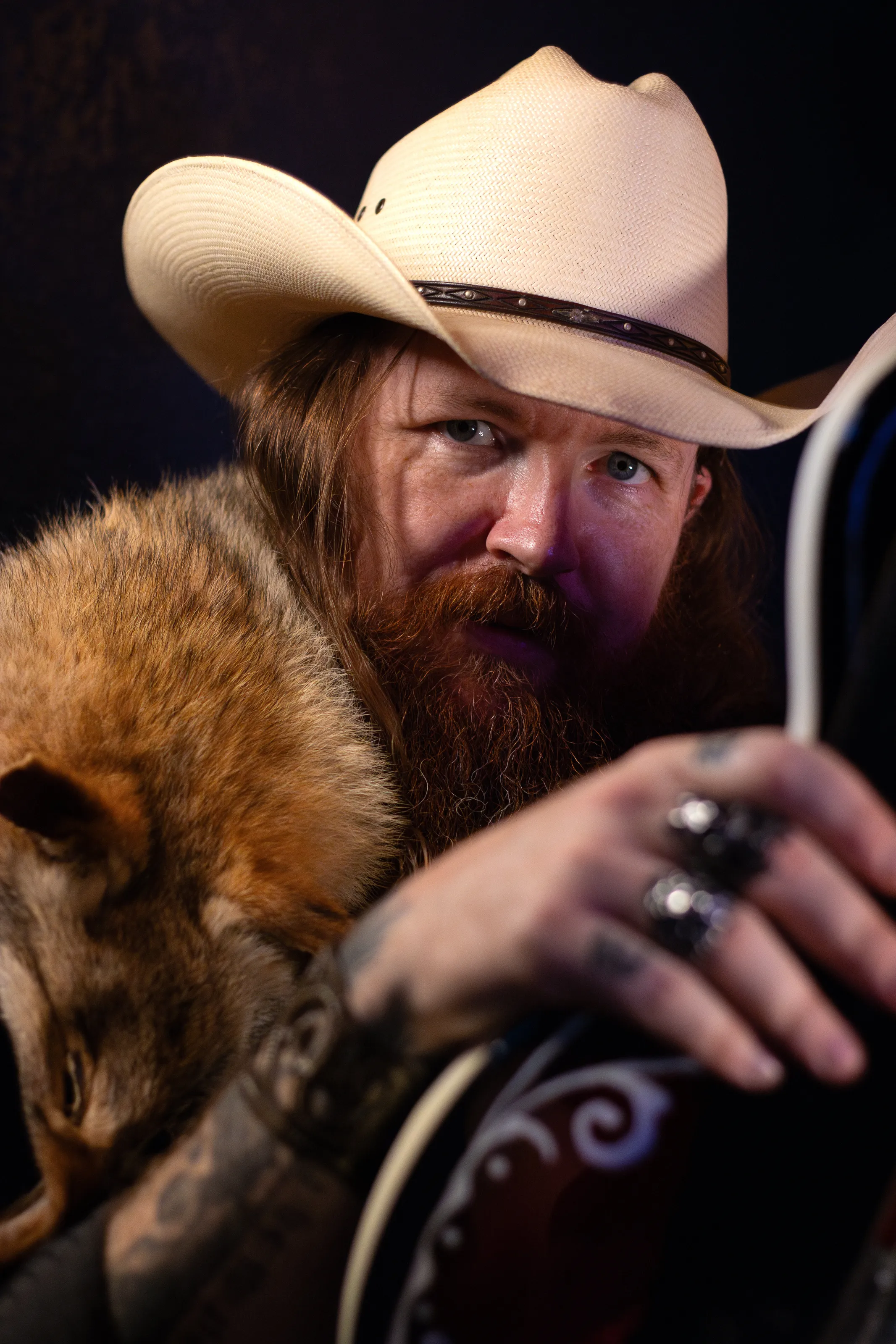 The Coyote