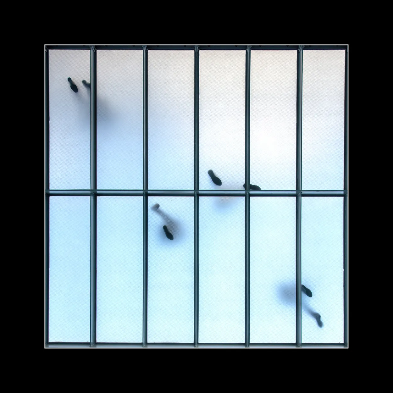 Entry 18710134