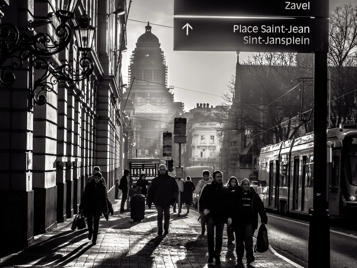 Entry 931240