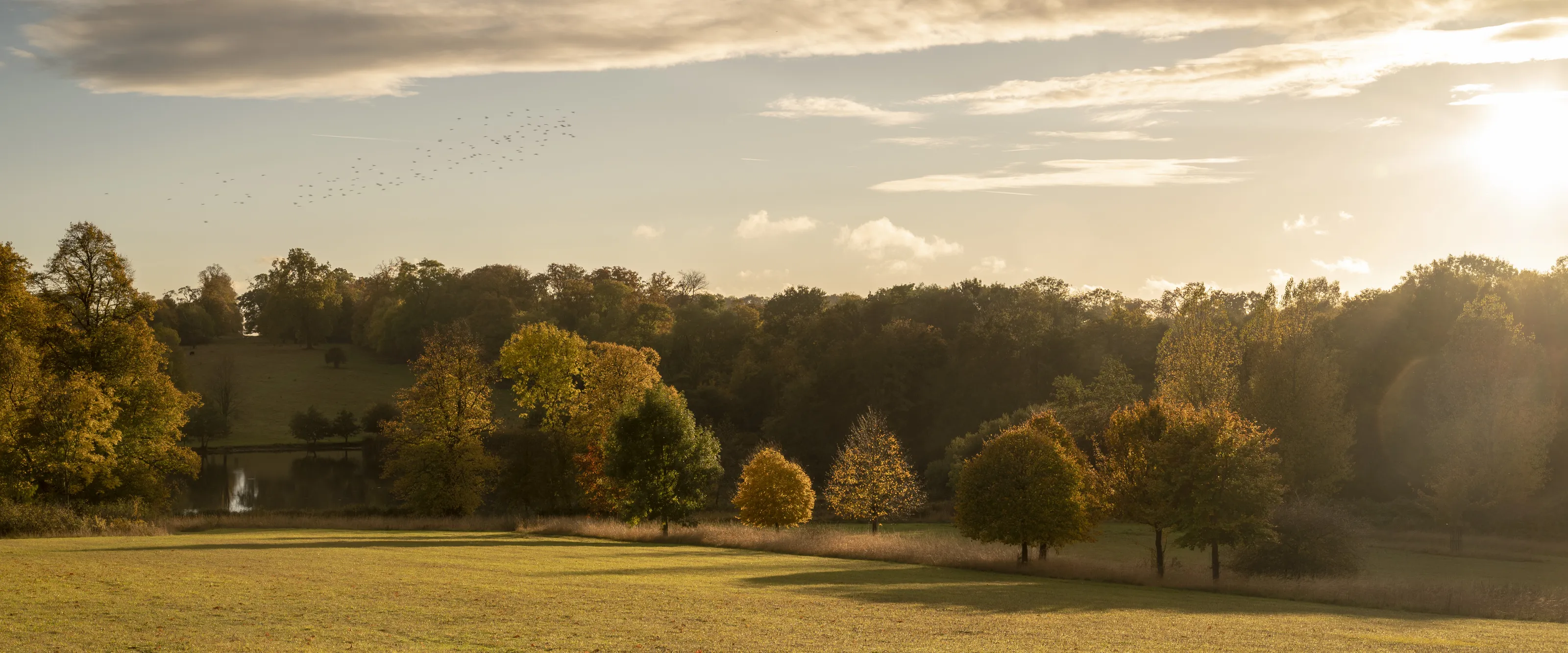 The birds fly to the warmth of the fading autumn sun.