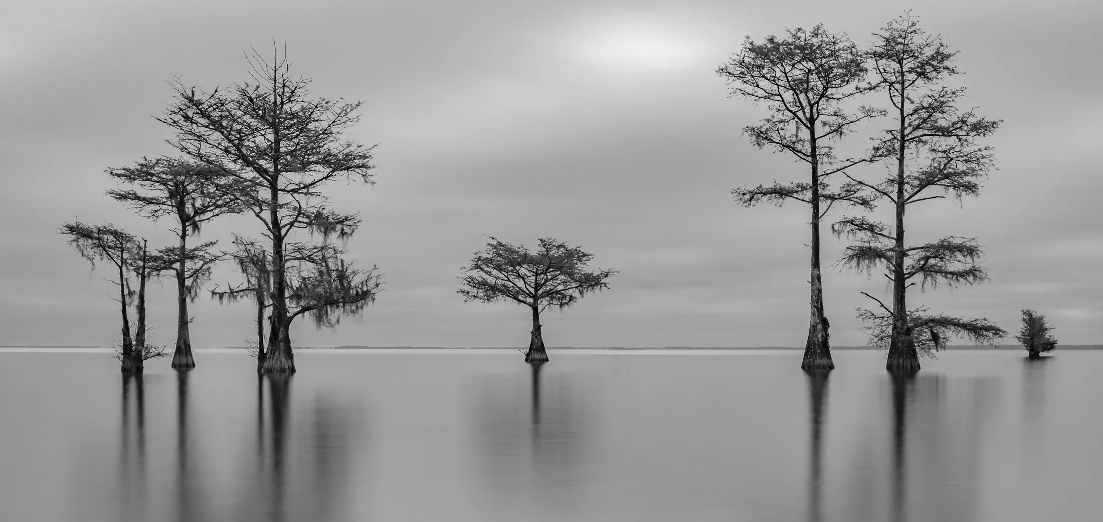 Entry 17739585
