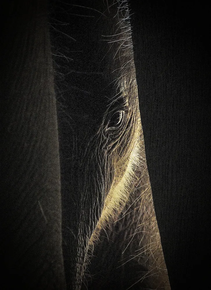 between mom's leg