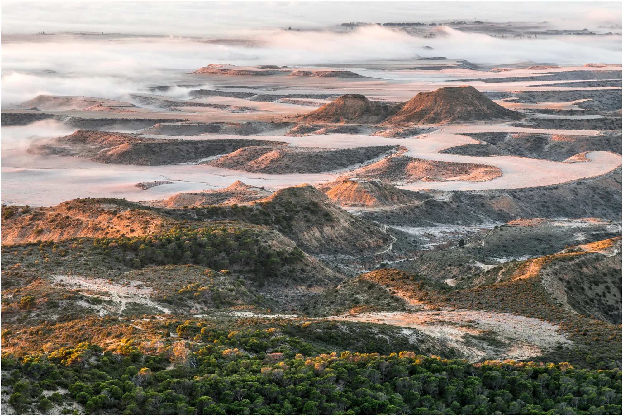 Bardenas Reales