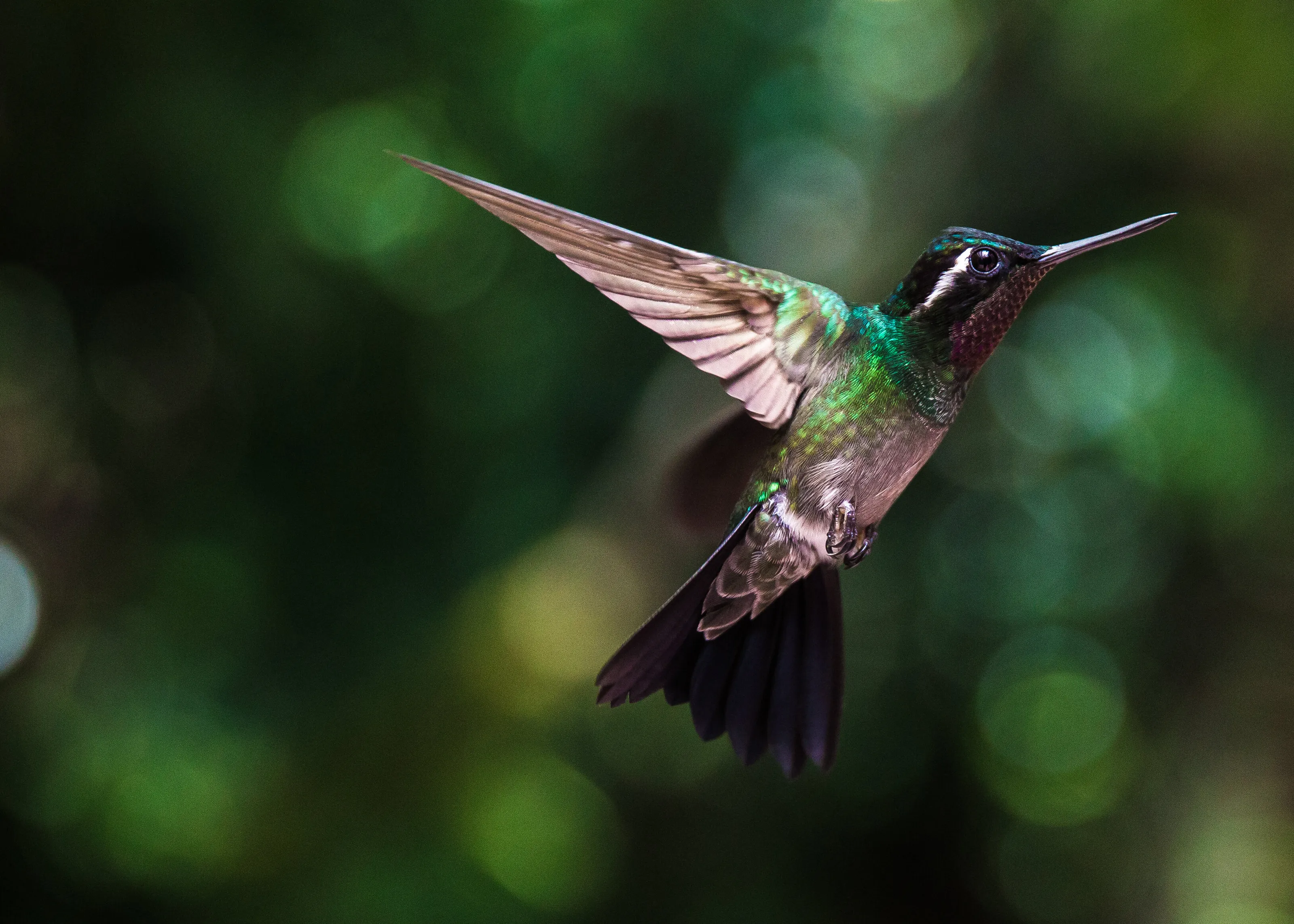 In Flight