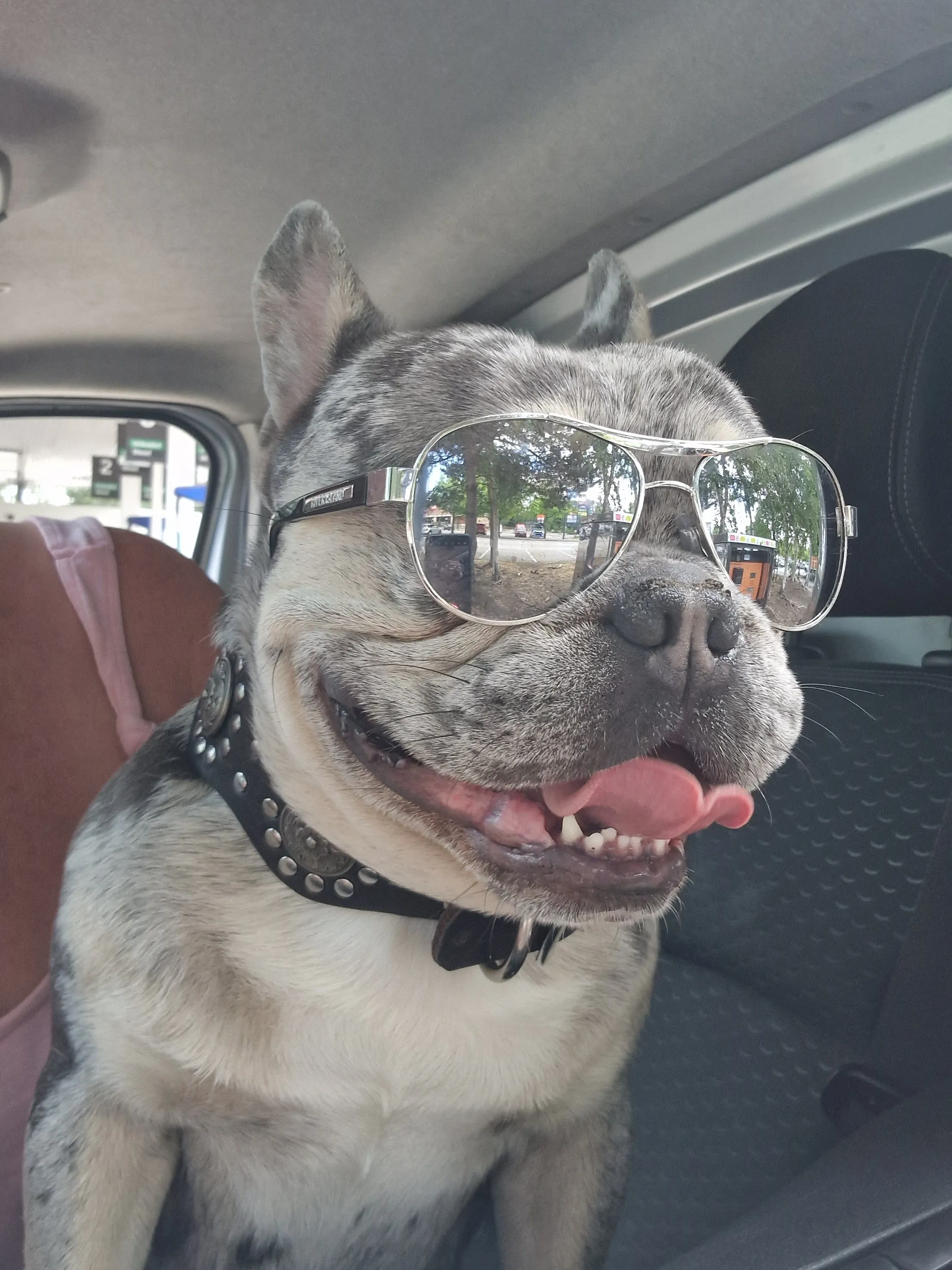 Dexter