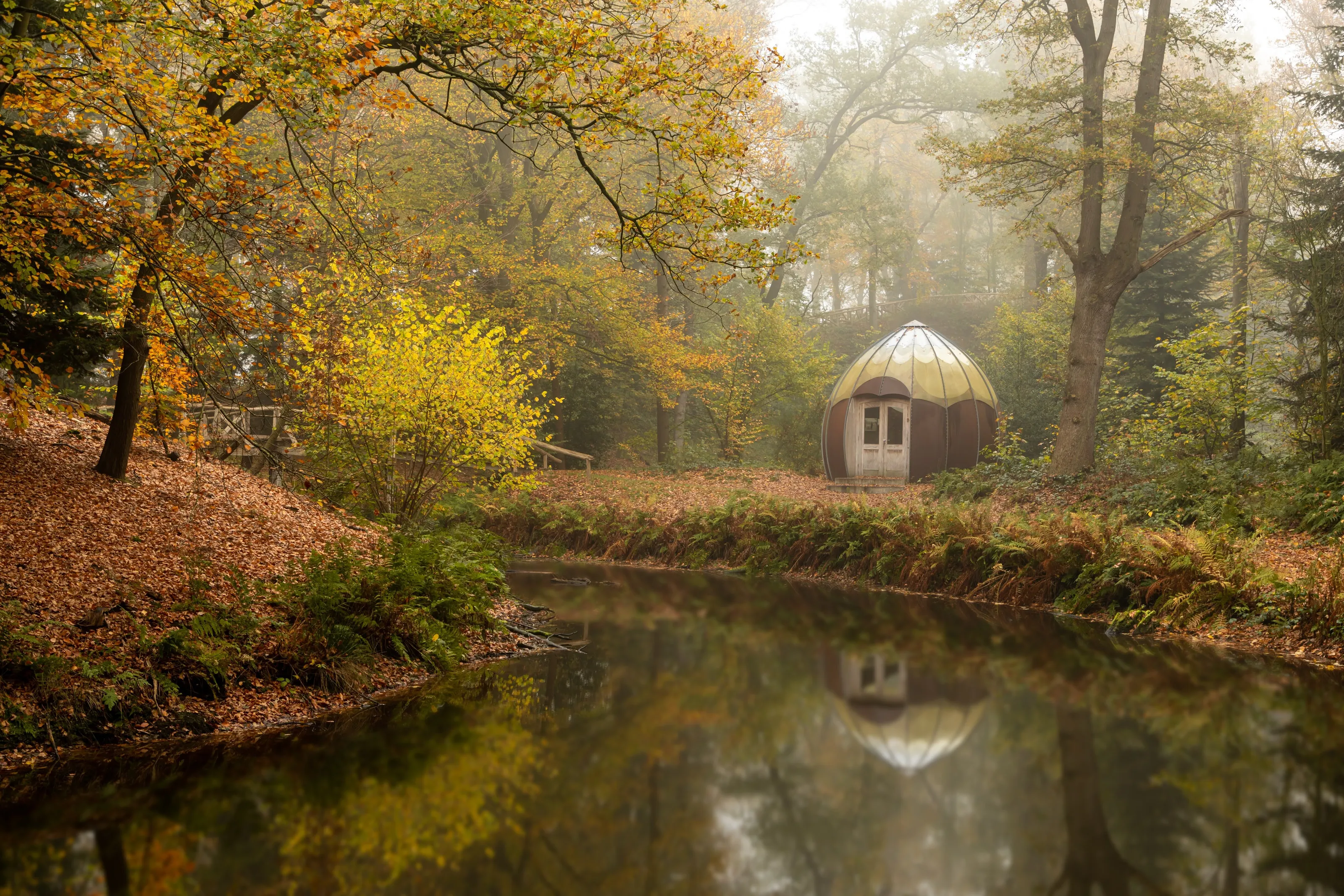 Little nut house