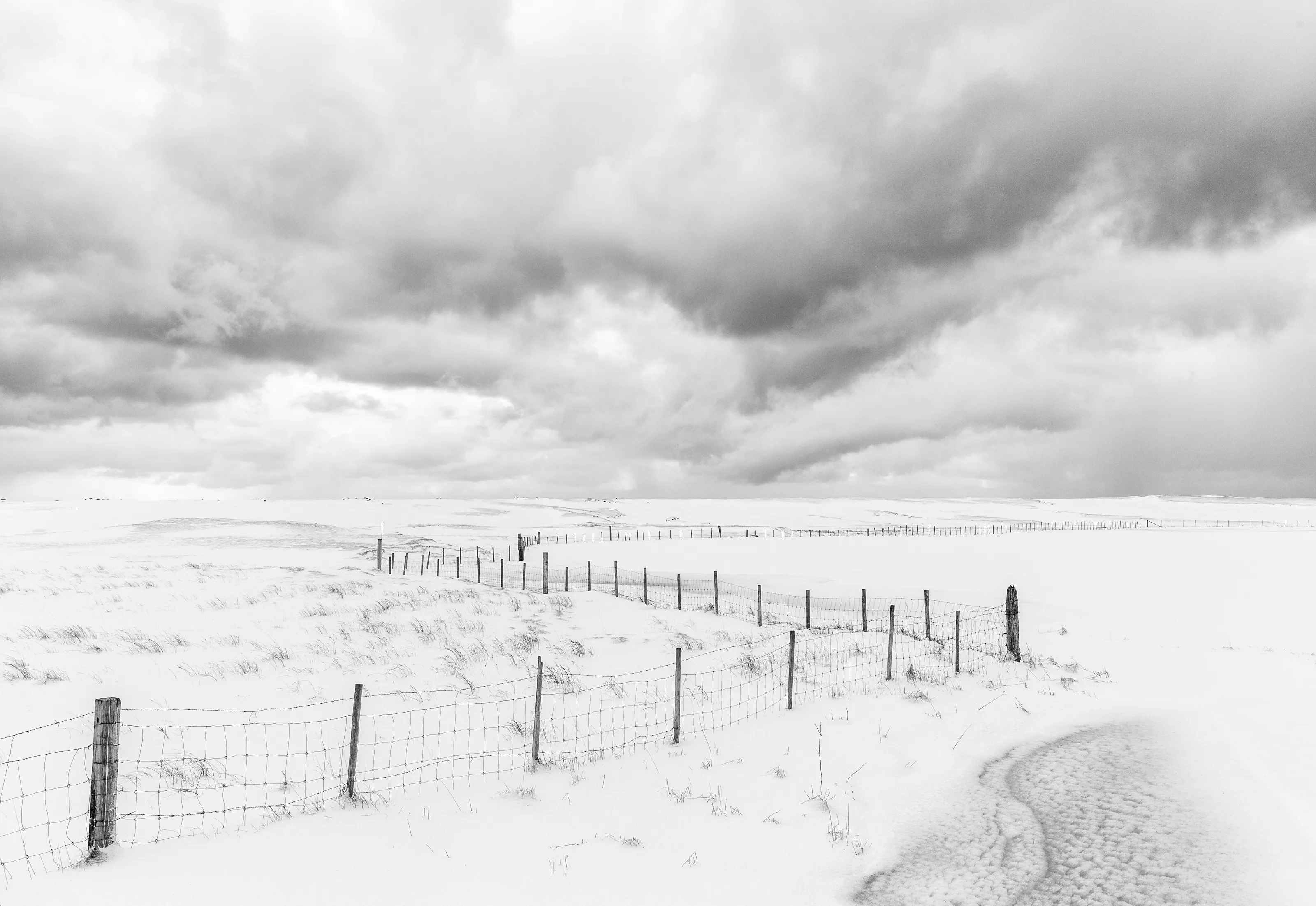 Fence lines ...