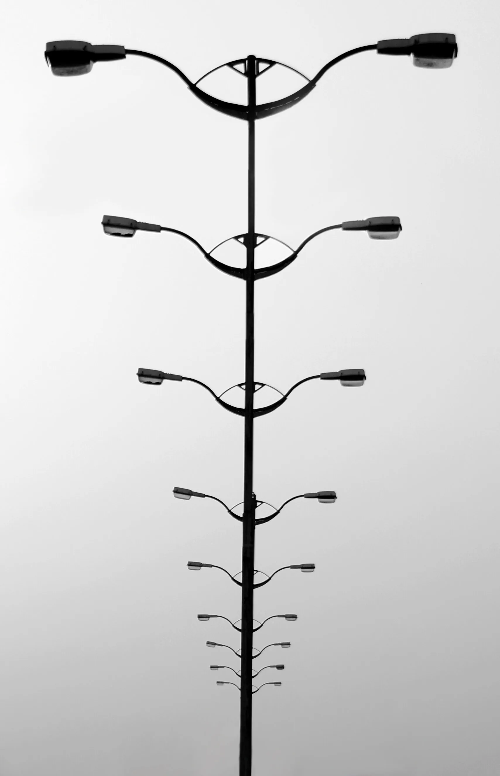 Tree of endless lights