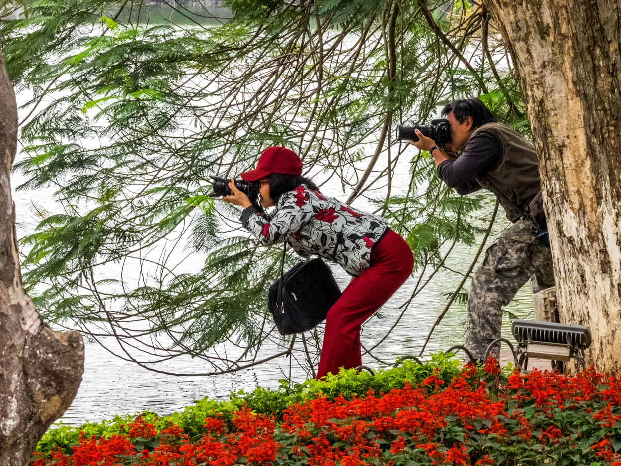 Entry 1958266