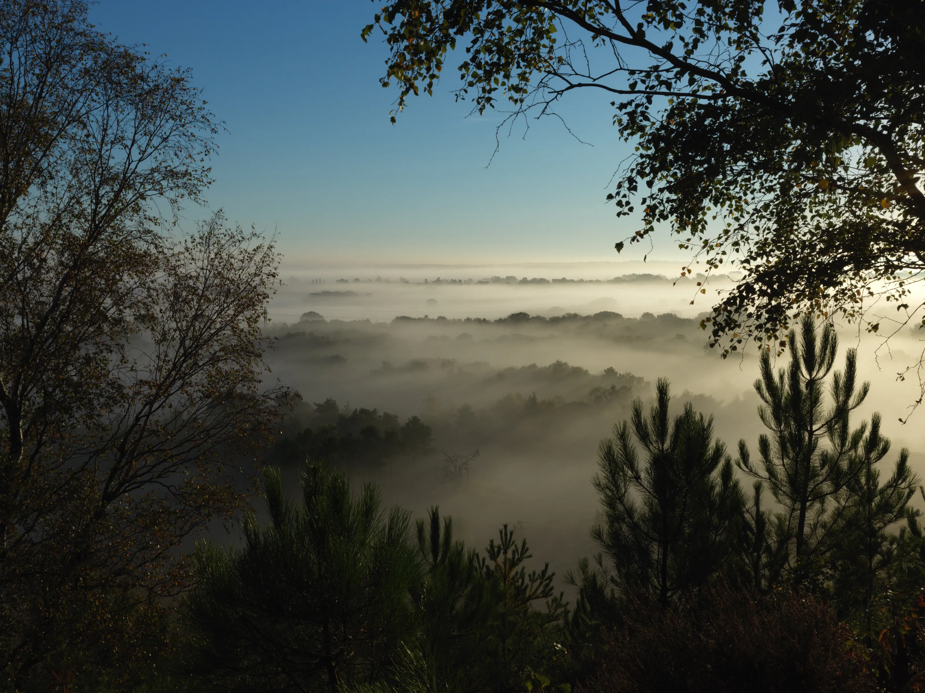 September Mist