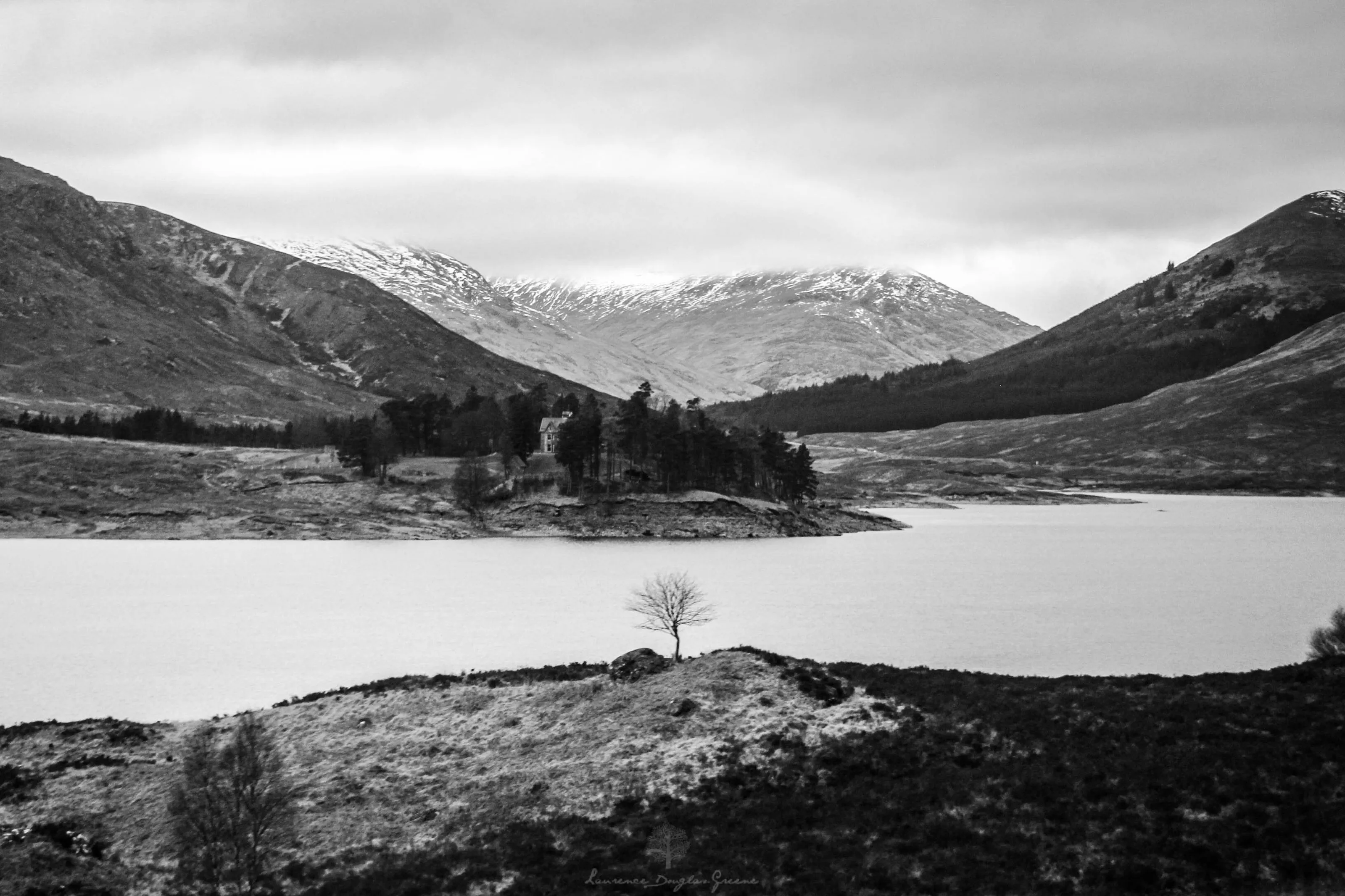 Isle of Skye - the lonely tree