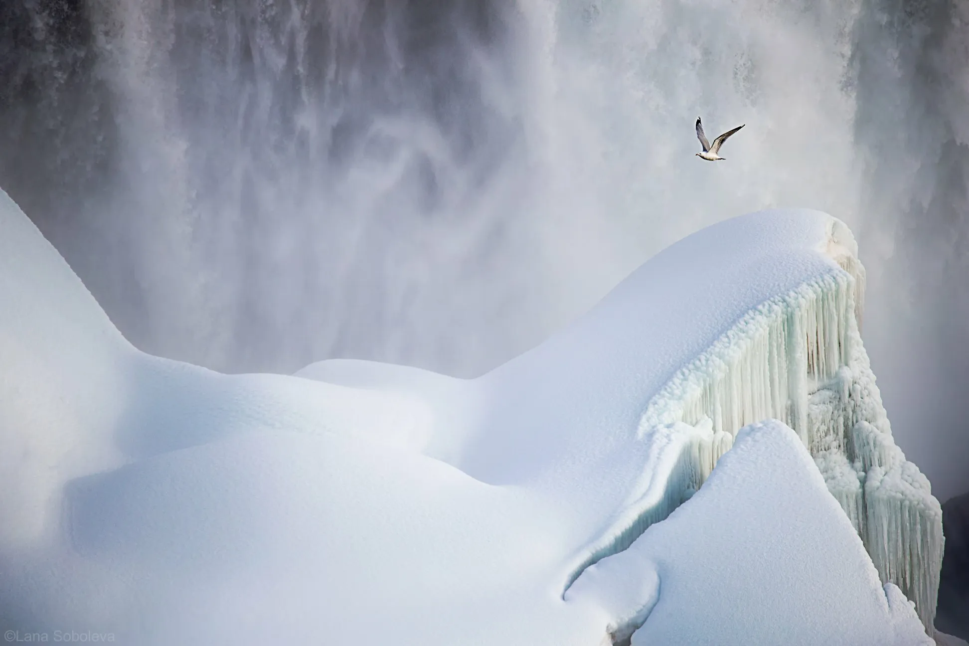 Ice world