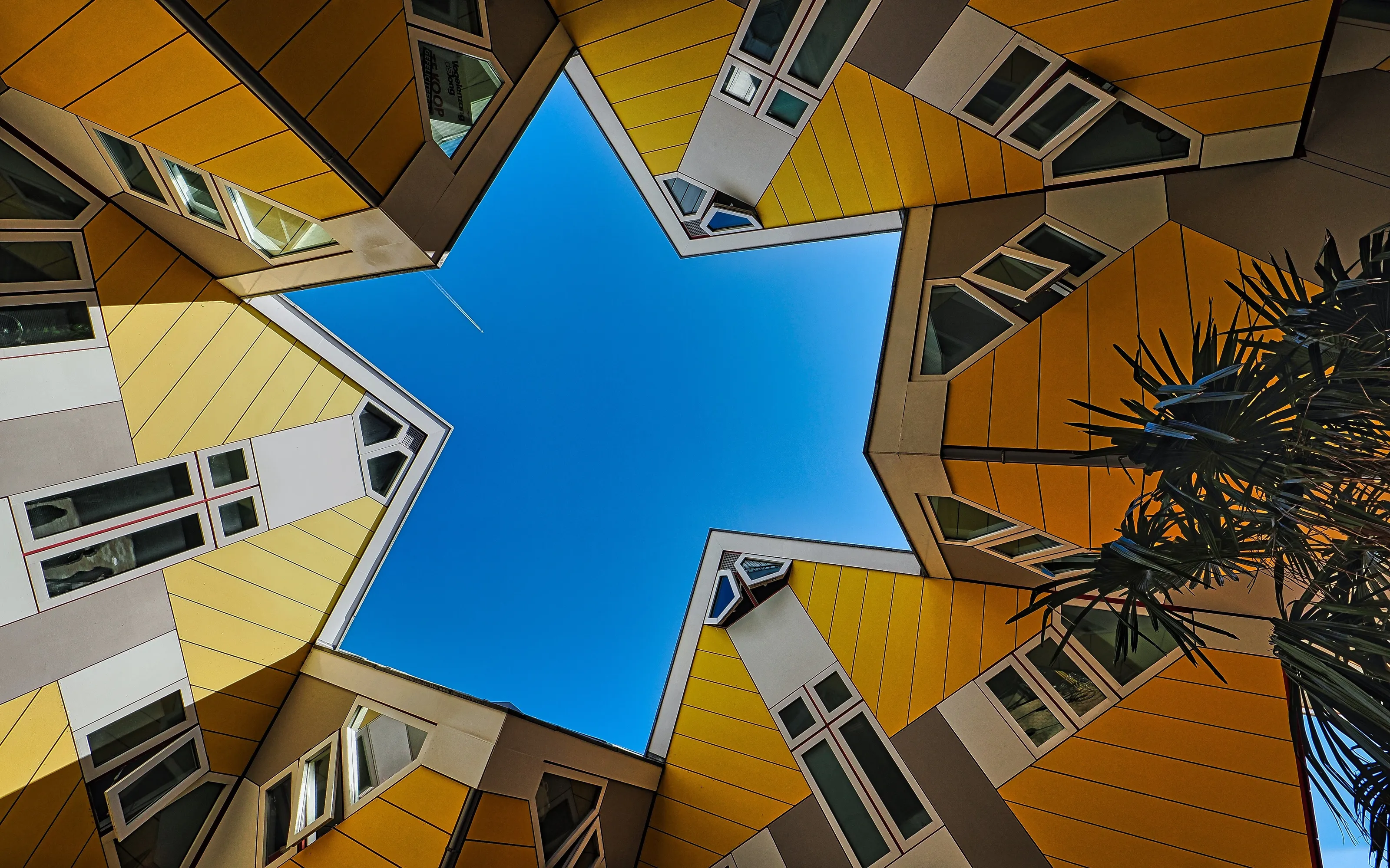 Looking Up and Looking Down