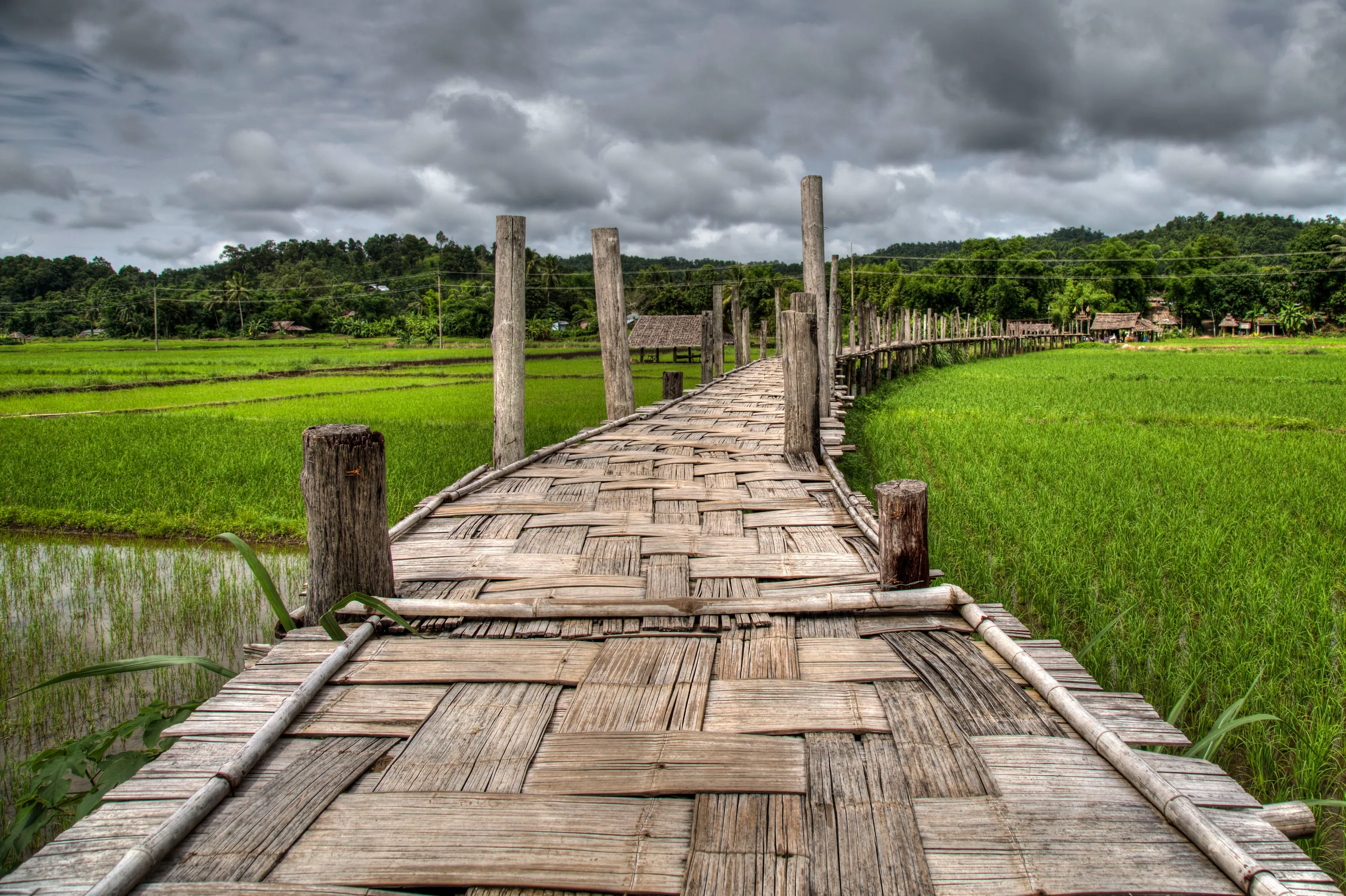 Bamboo Bridge