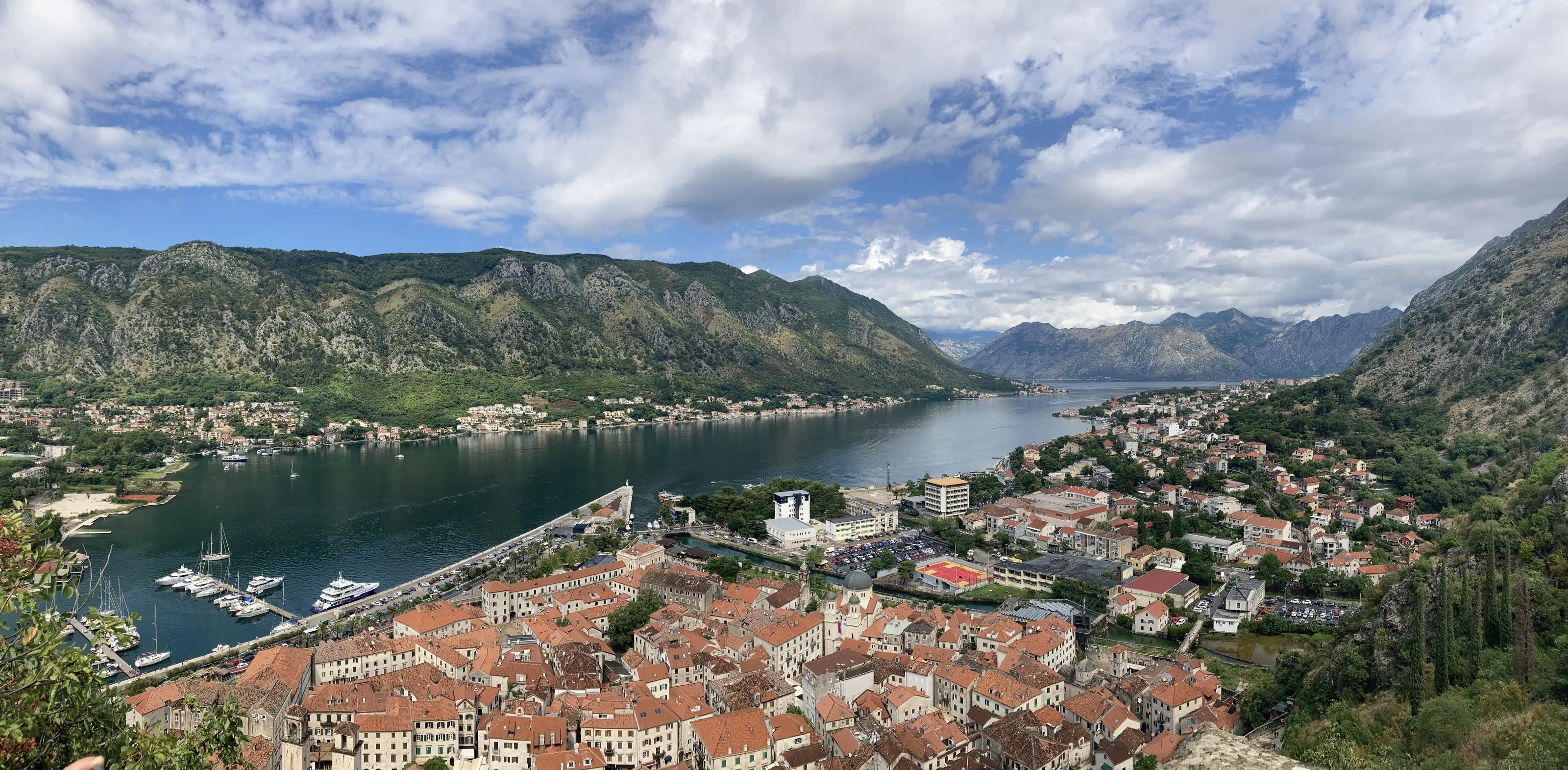Kotor Panorama