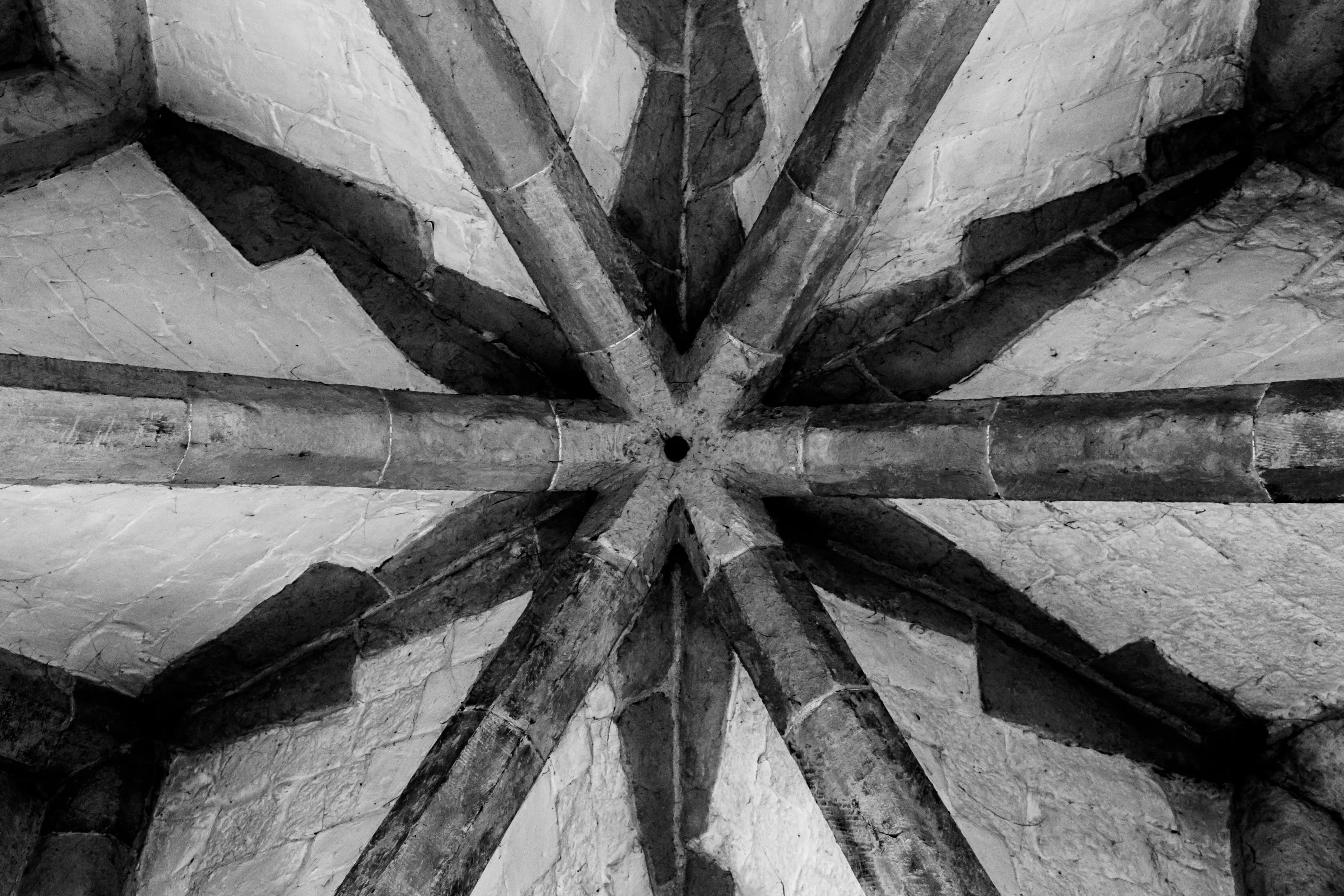 Radial