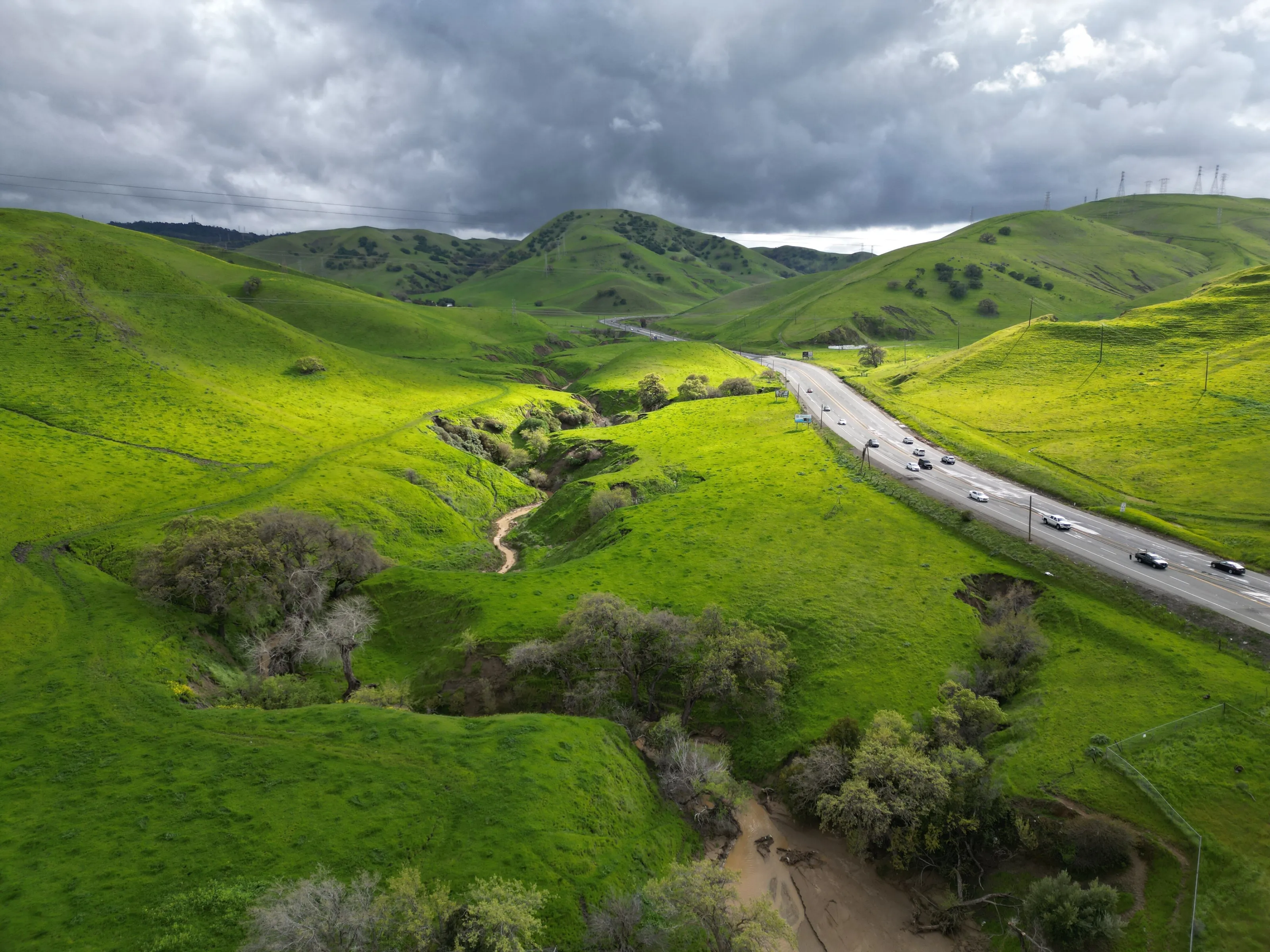 Resurgence: Clayton's Green Hills After the Drought